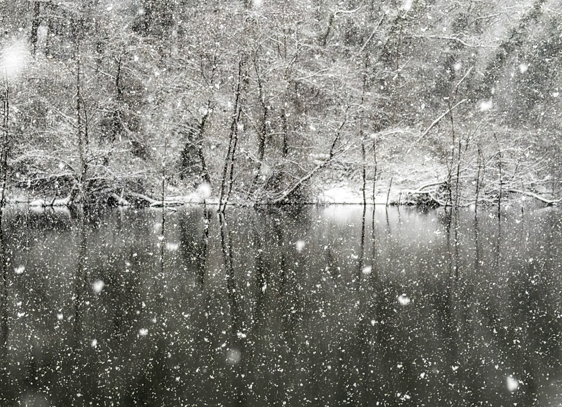 NW Zekeriyaköy pond: it's snowing!