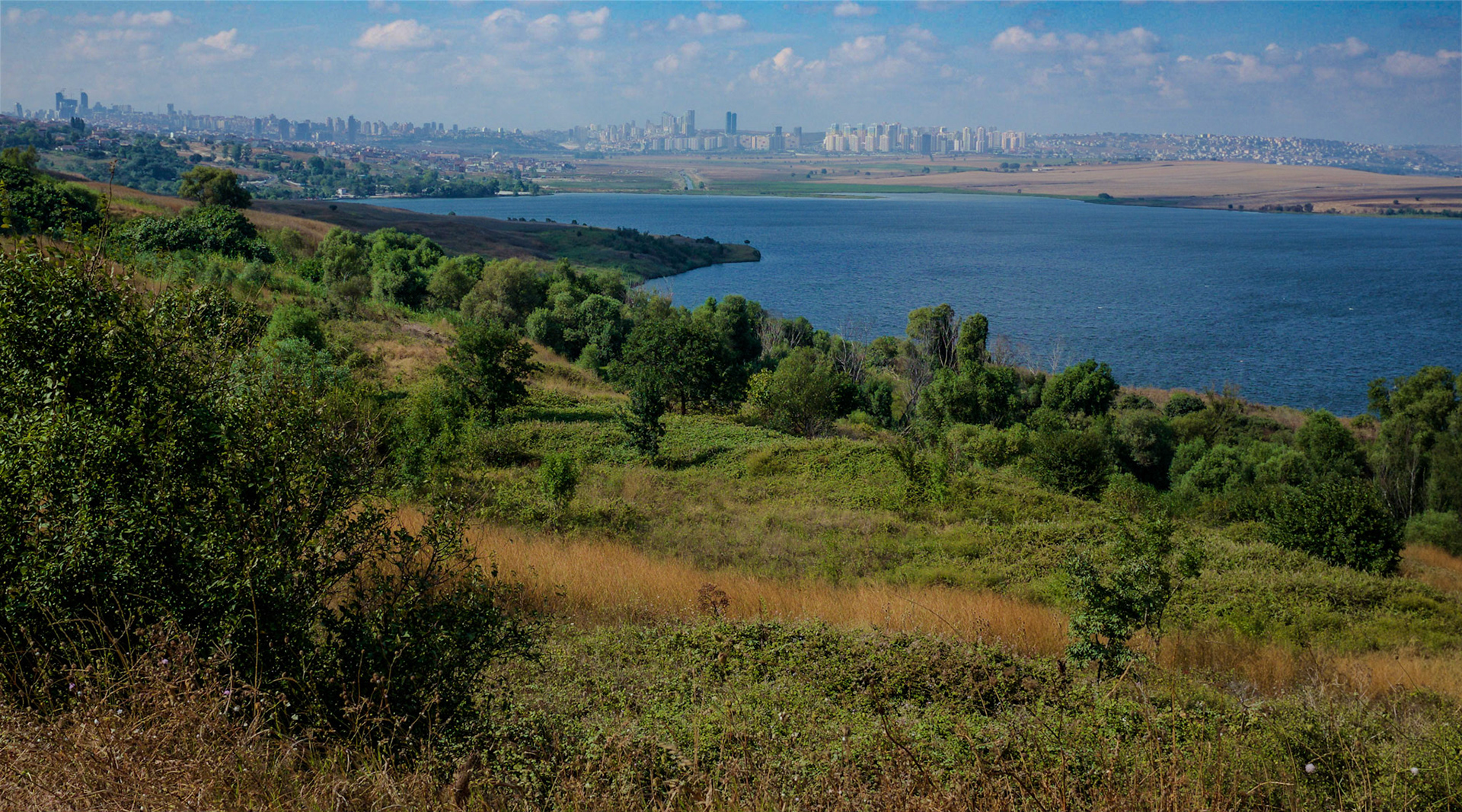 inside Istanbul University's agricultural faculty land with Bramble hill (as was) in the foreground and Başakşehir and Tahtakale in the background behind Küçükçekmece Gölü