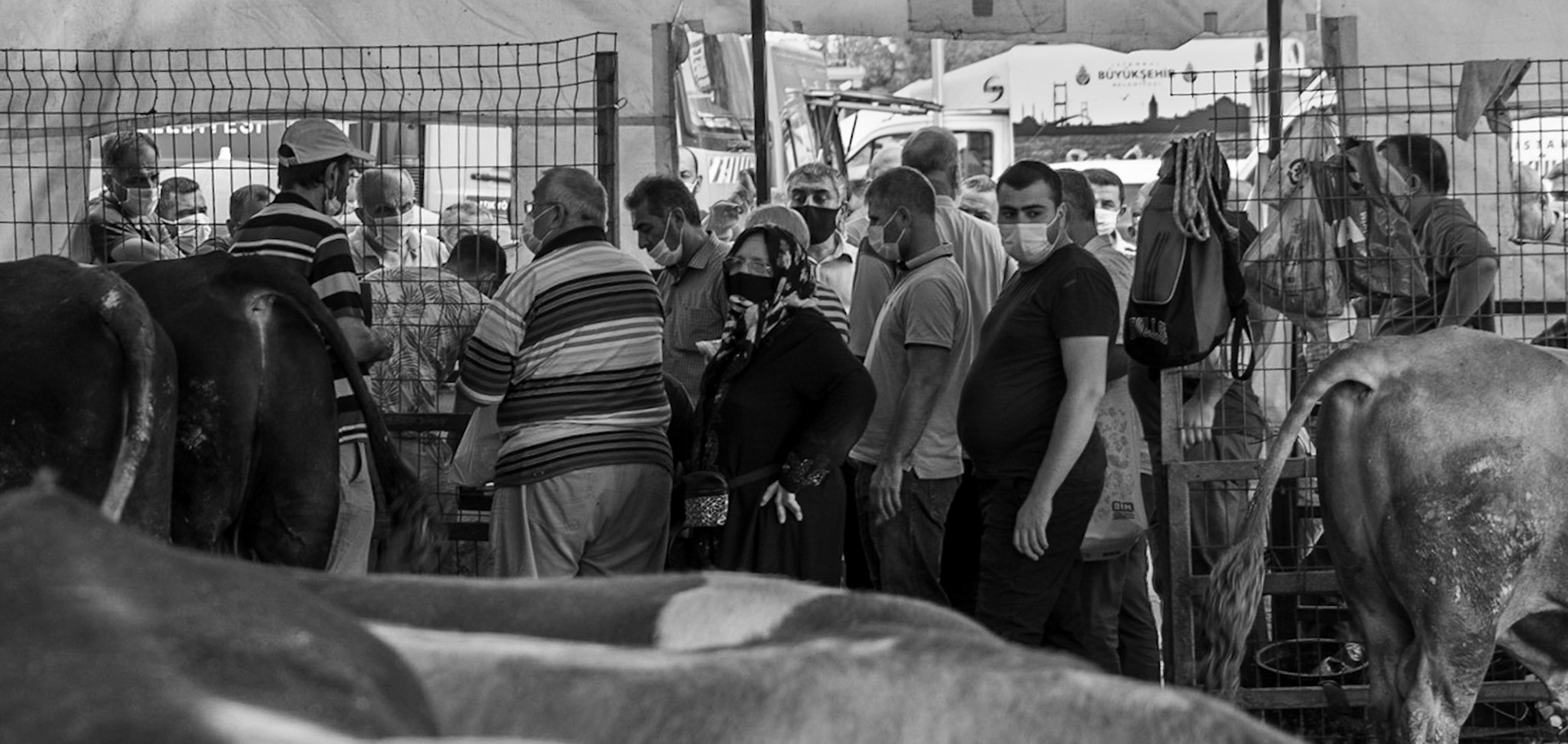 Alibeyköy Kurban Satış ve Kesim Alanı: buyers and sellers