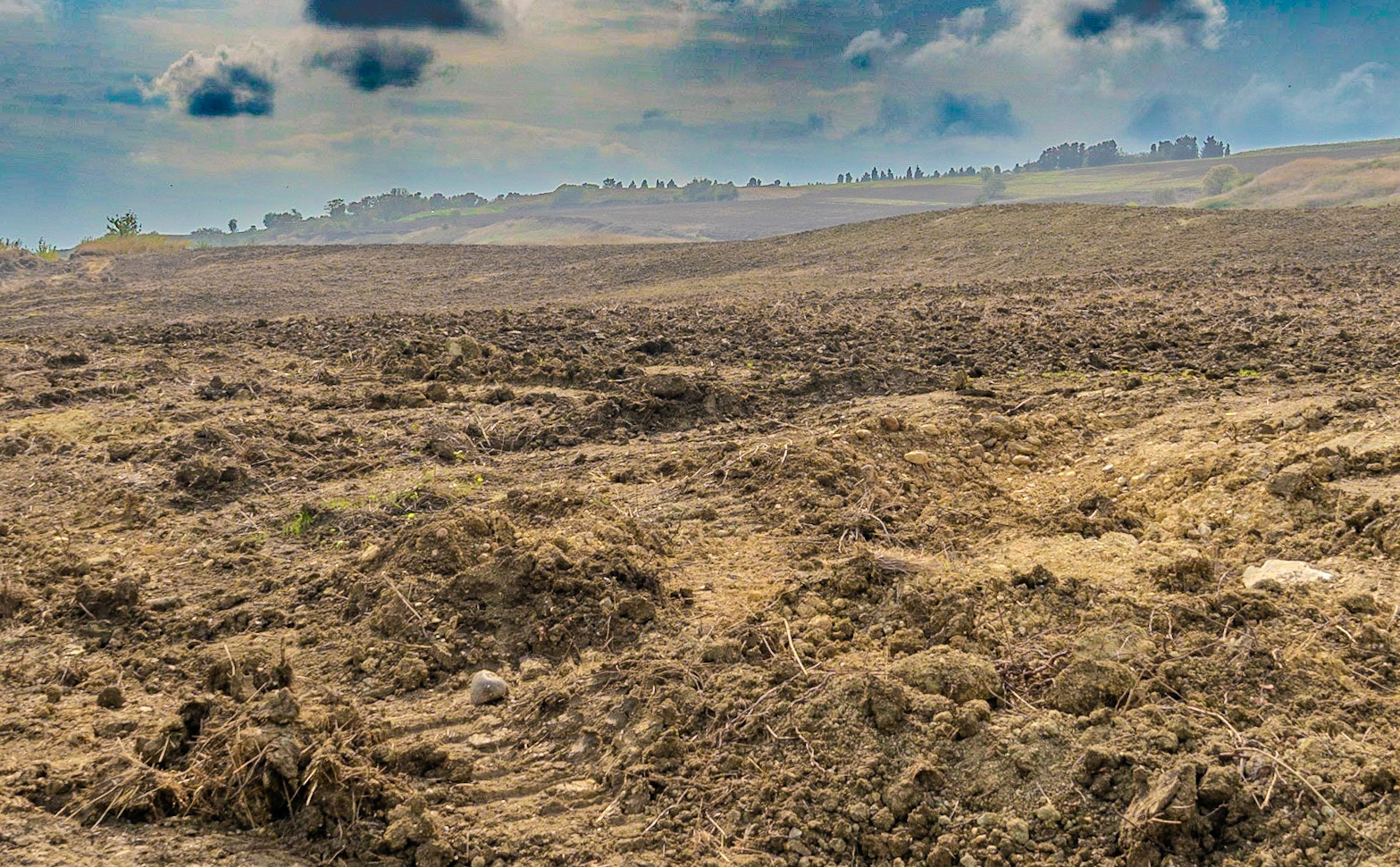 inside Istanbul University's agricultural faculty land: what once was Bramble hill