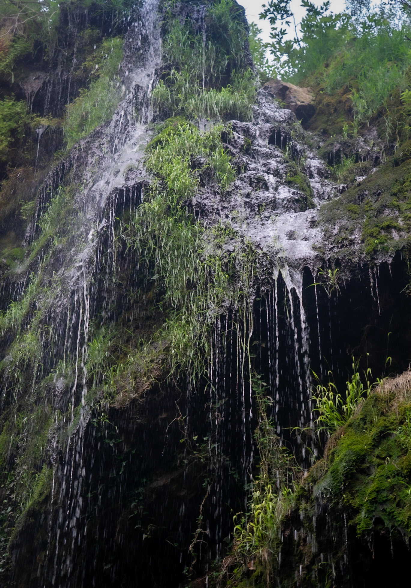 Şarlak waterfall: view