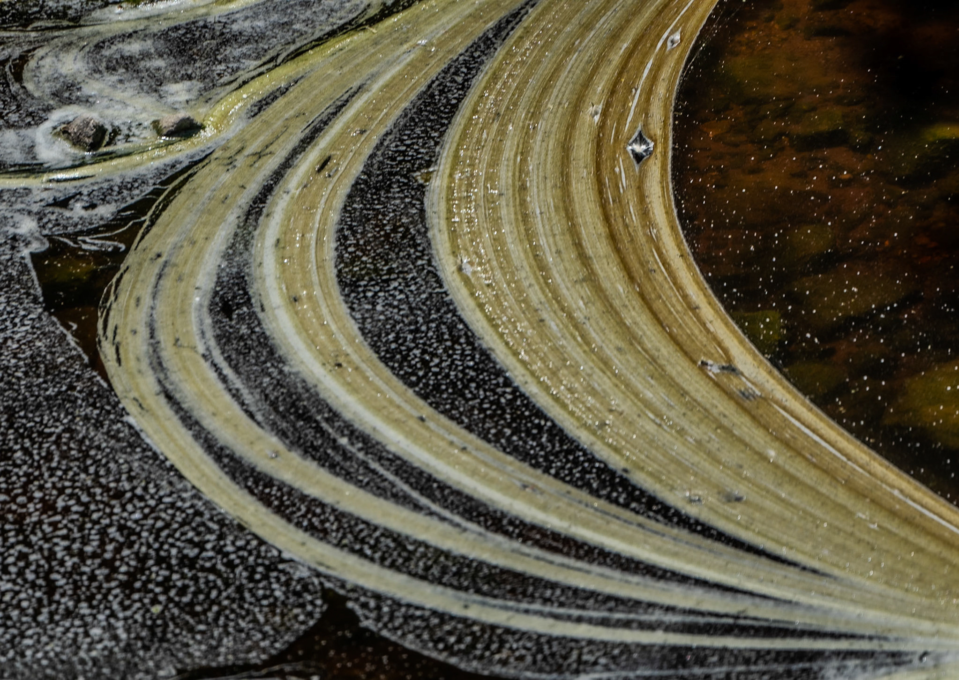 the Değirmendere: swirls of scum