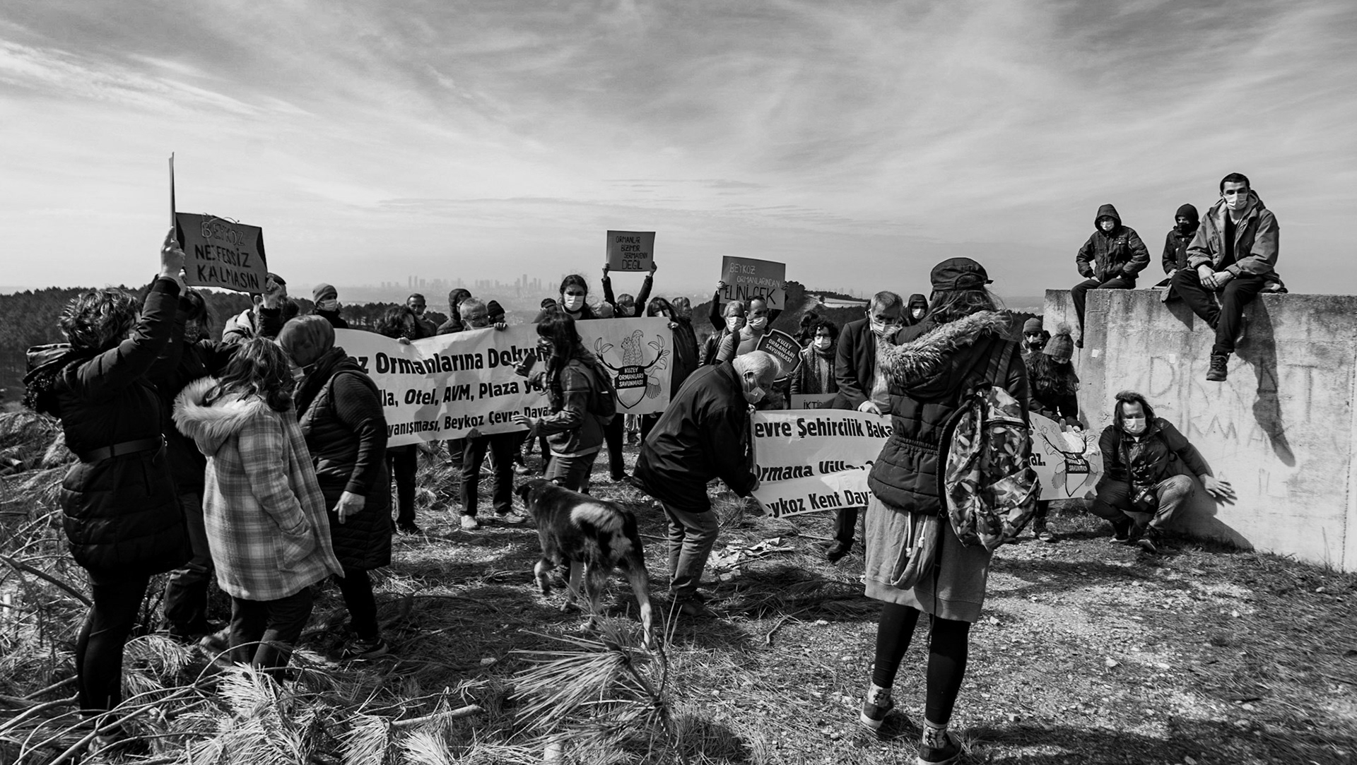 Toygar viewpoint: the walkers gather together with some police