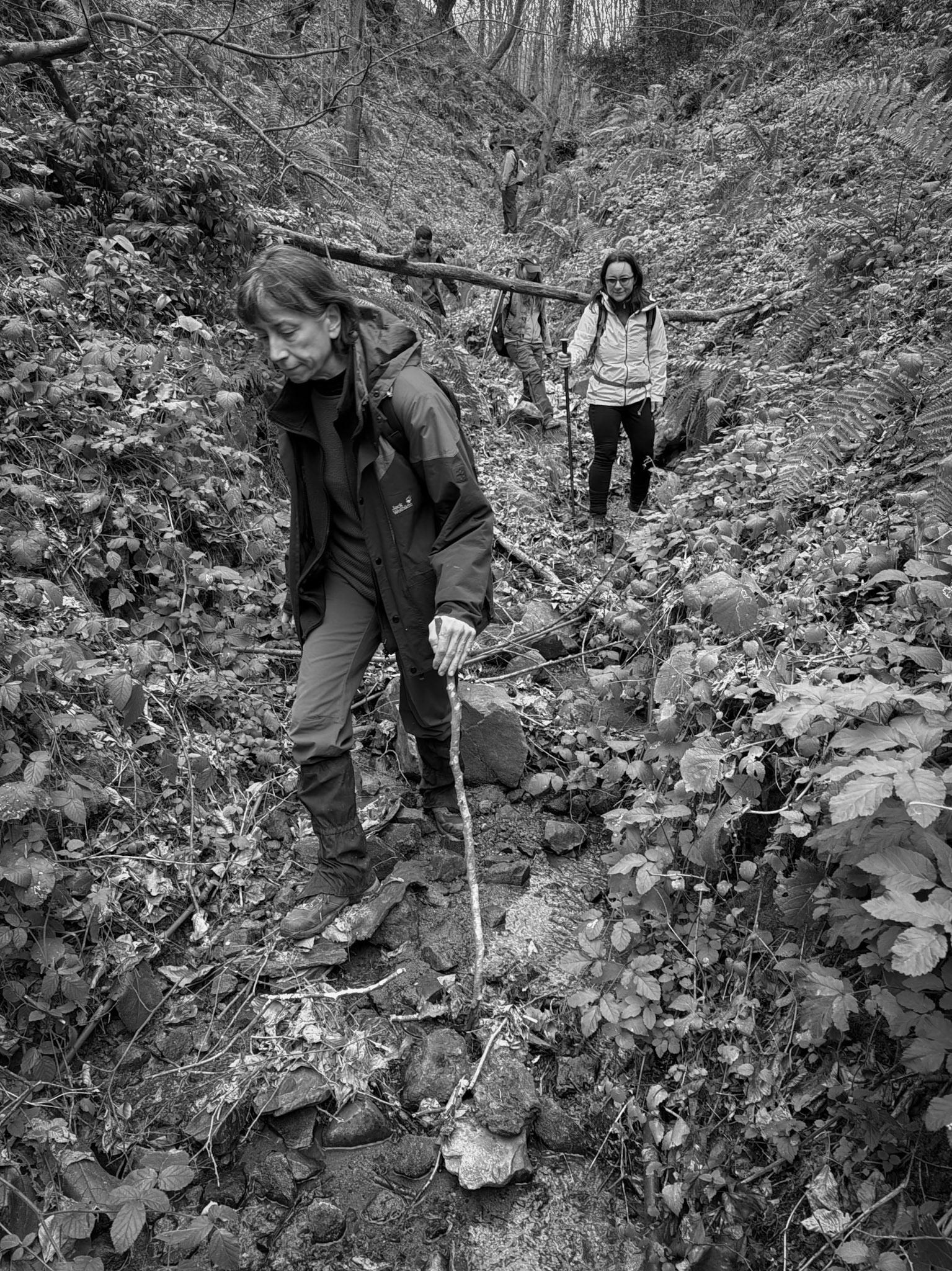 Dolap stream descent: hikers