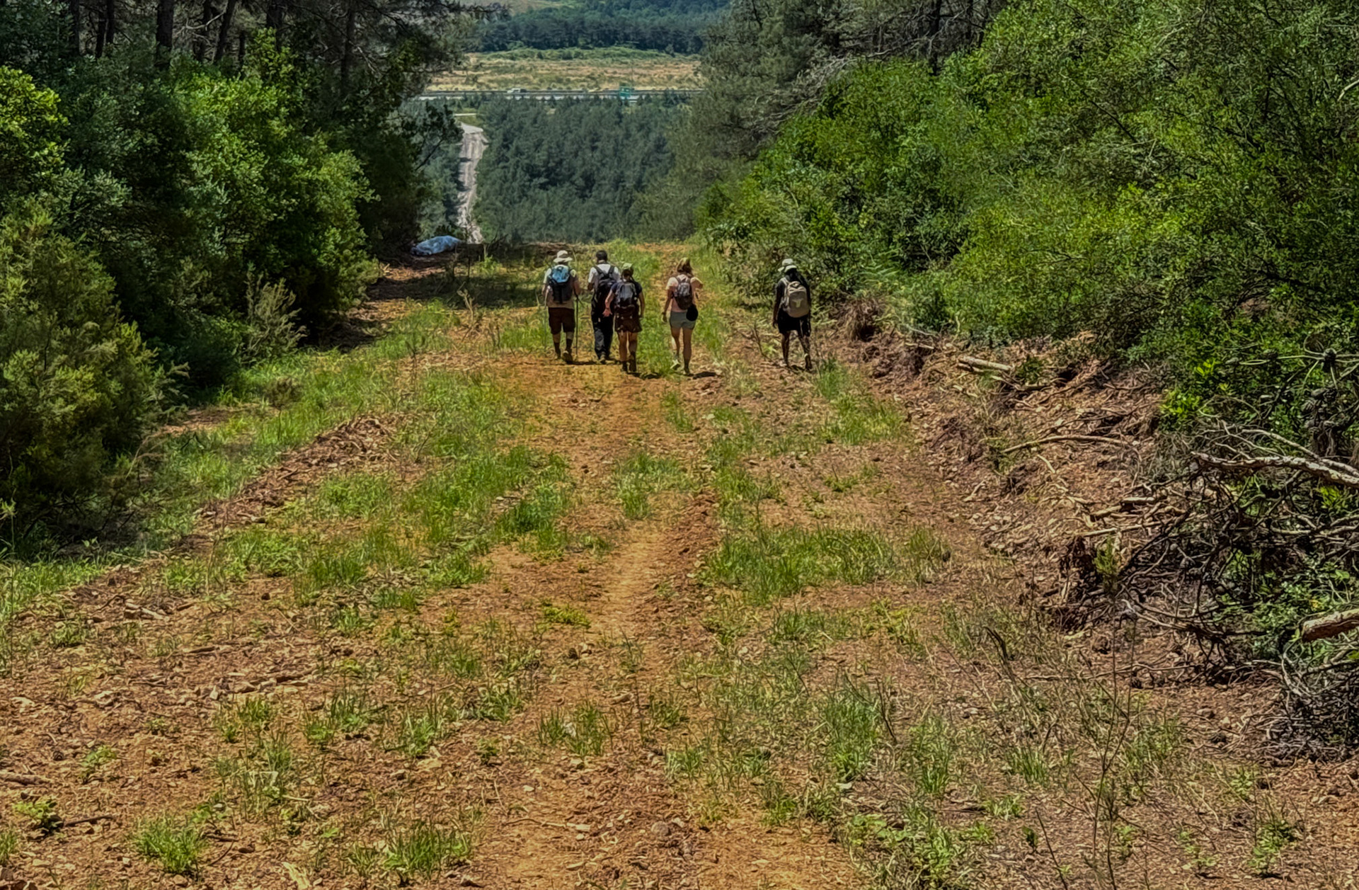 Baklacı southern hill: descending