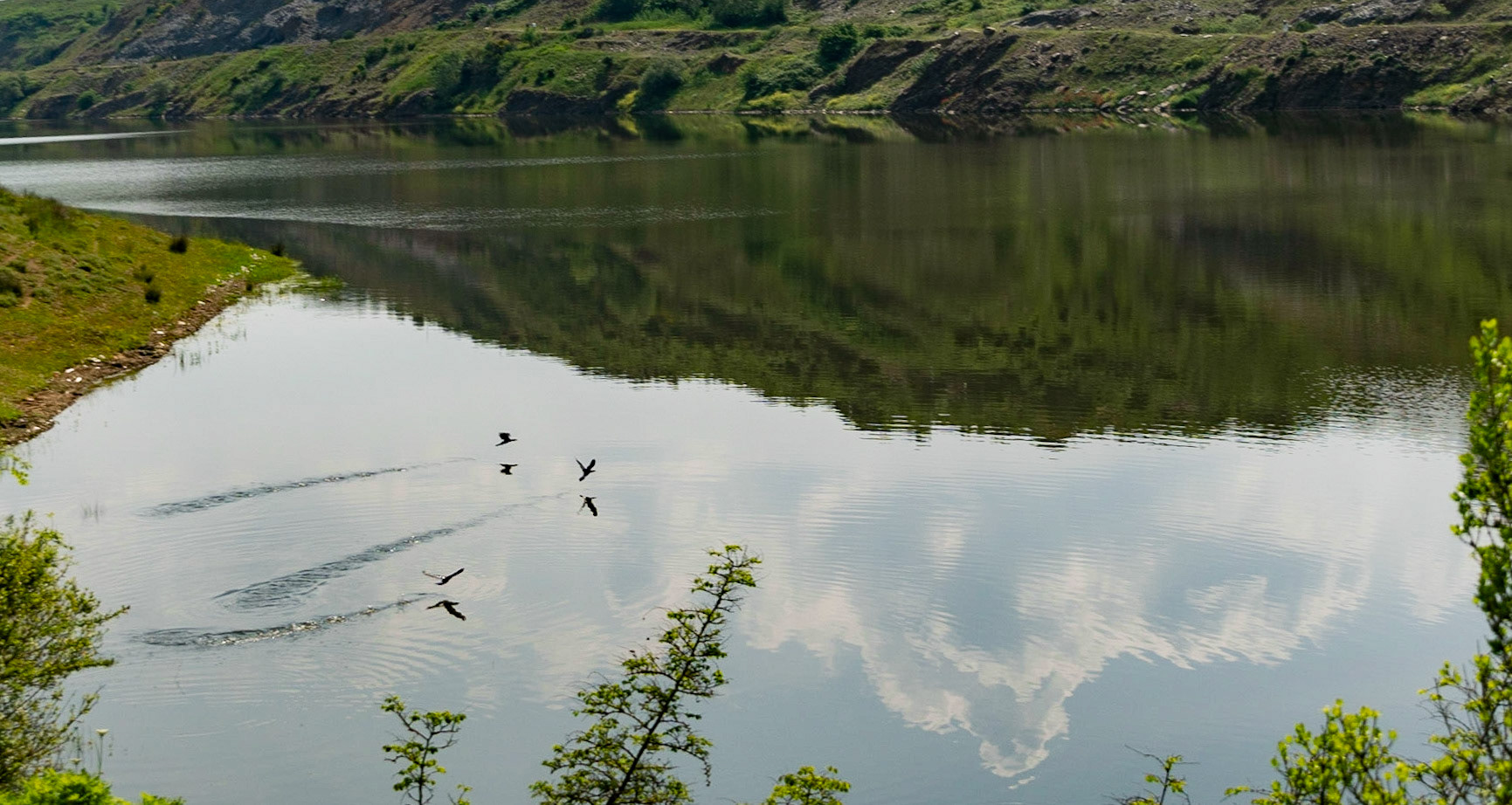 Şamlar gorge: water-birds flying over the surface