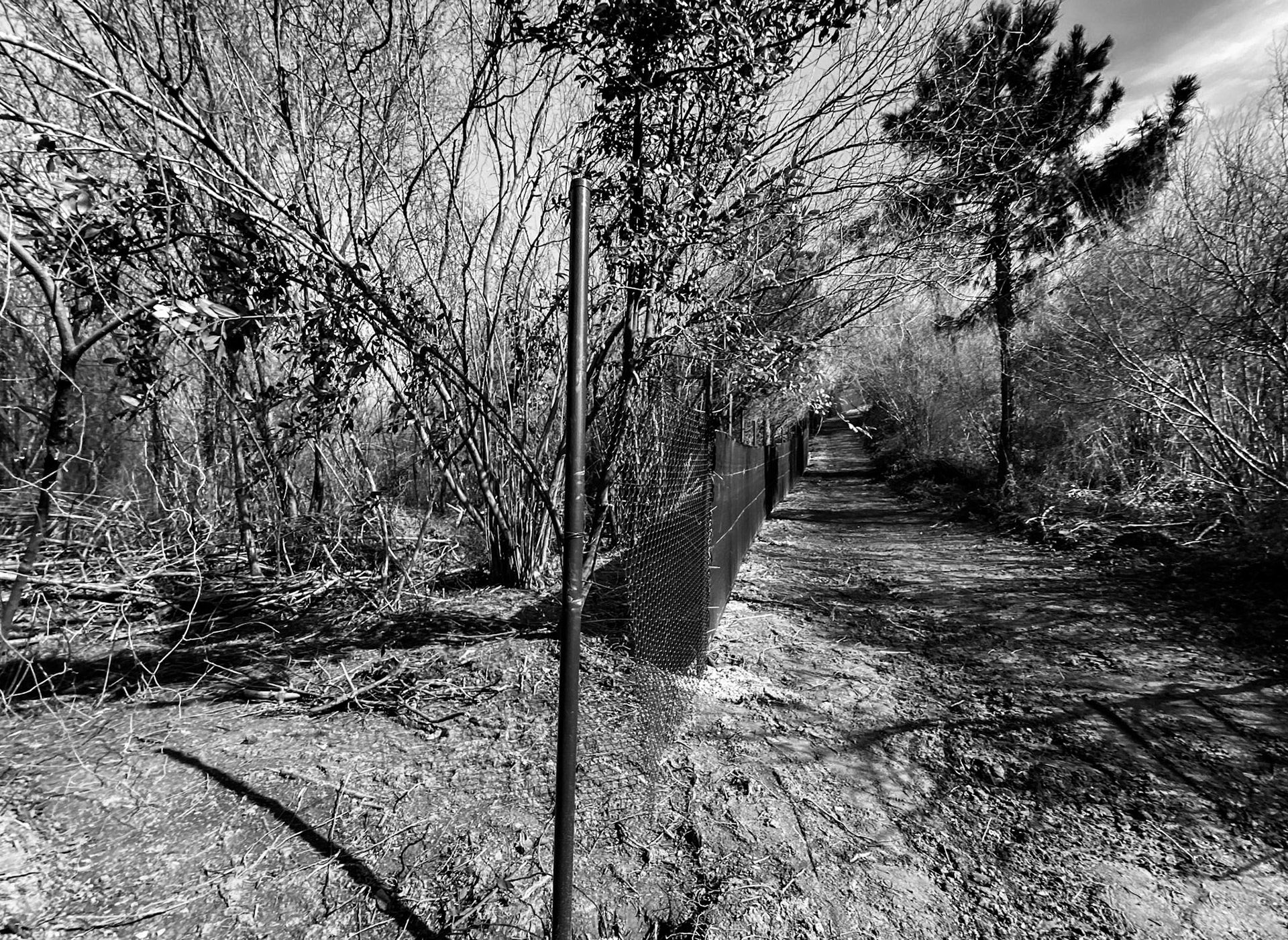 Kaymakdonduran woods: a temporary gap in the northern fence