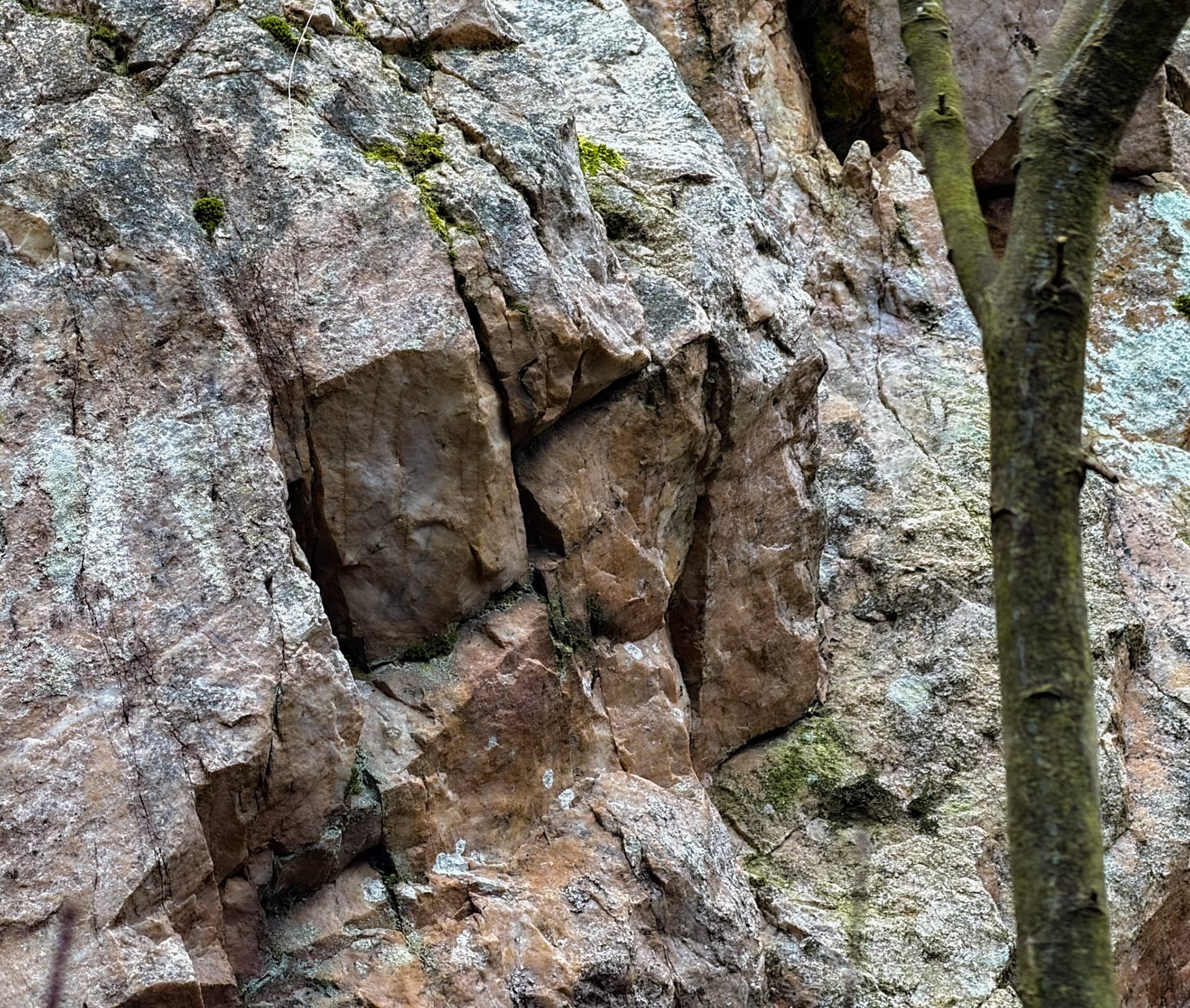 Dereseki forest traverse: rocky outcrop
