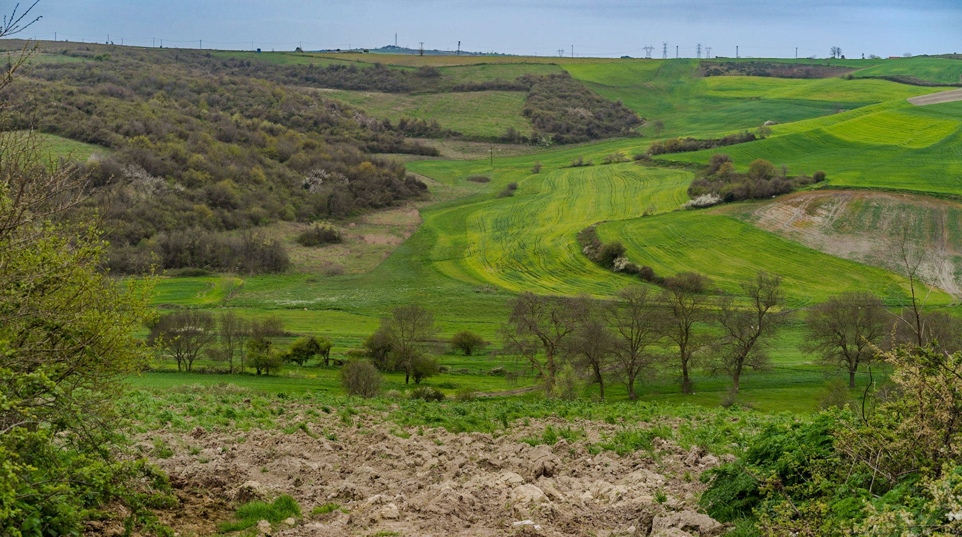 between Baklalı and Germe: rolling farmland