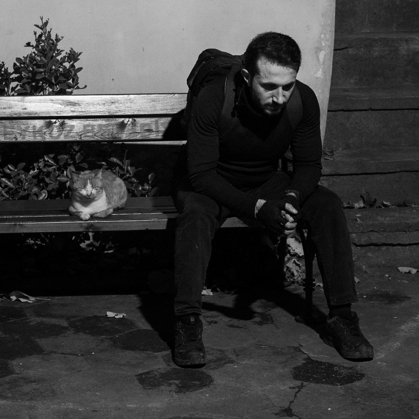 southern Akbaba: view from the east: tired cat and tired hiker by the Akbaba Sultan’s tomb