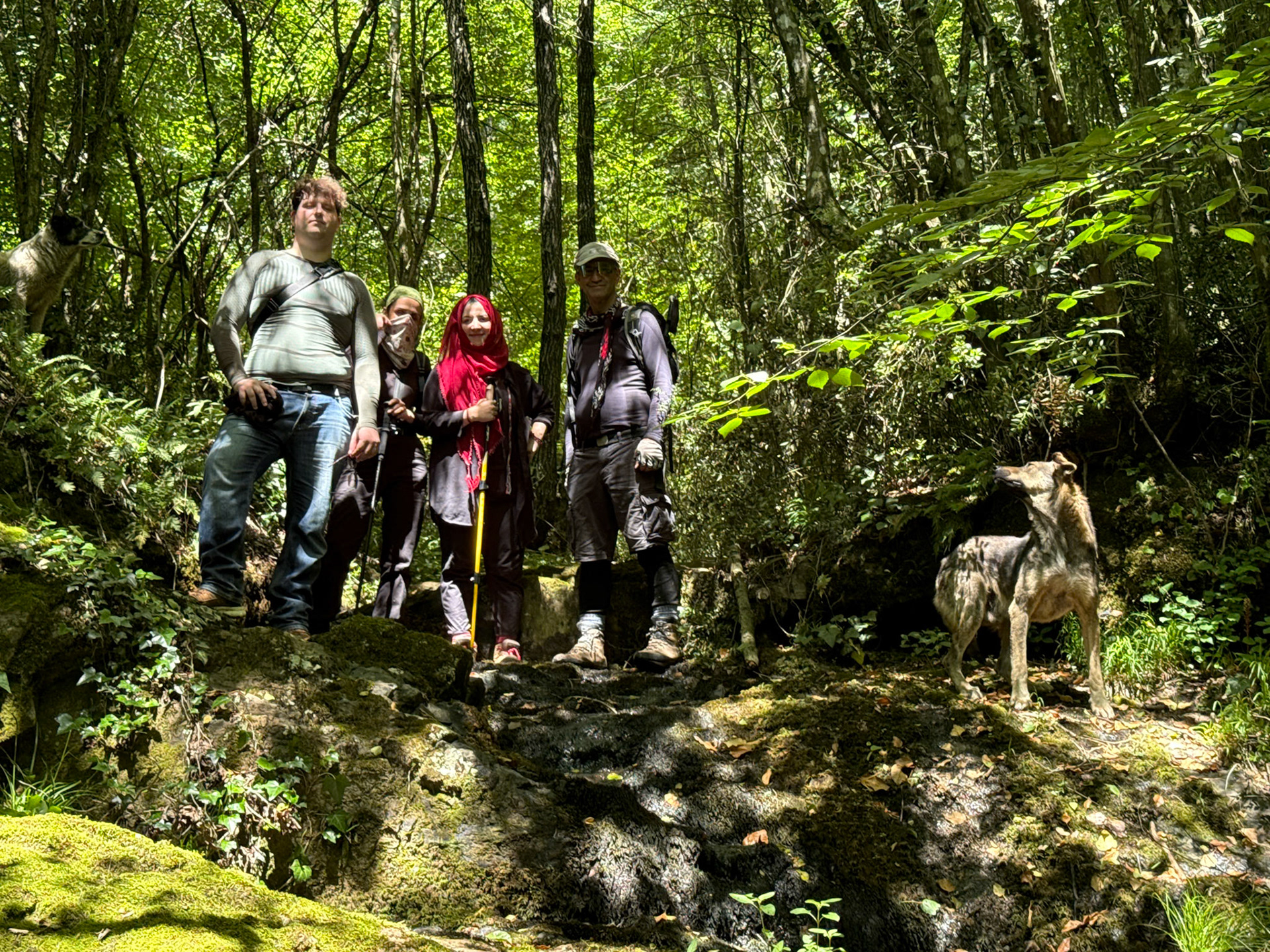 Kılıçlı southeastern stream walk: hickers and daydogs