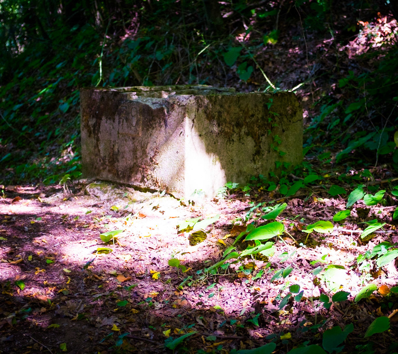 between the Maǧlova and Güzelce Aqueducts: a water-pipe manhole (I assume)