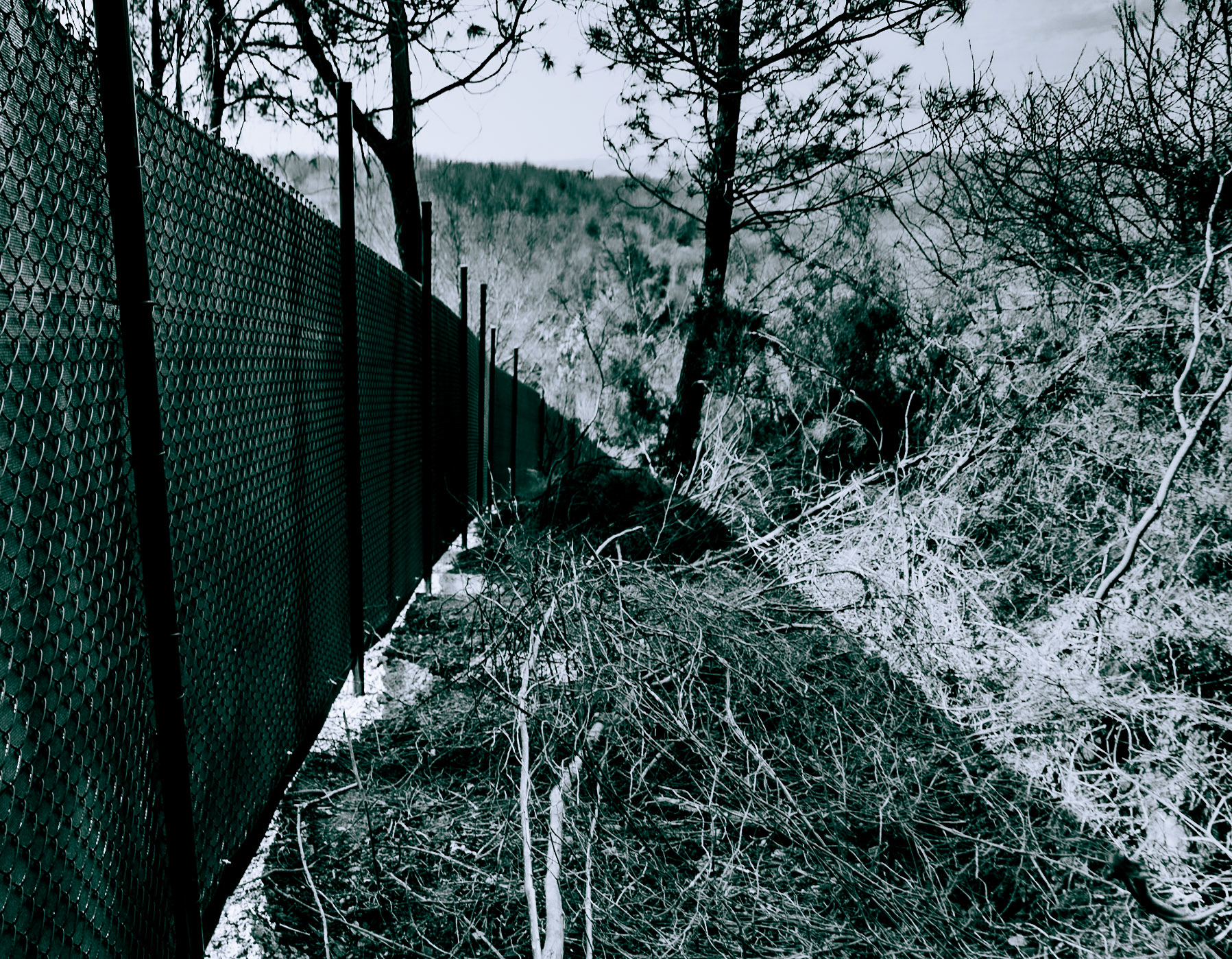 Kaymakdonduran woods: northern fence