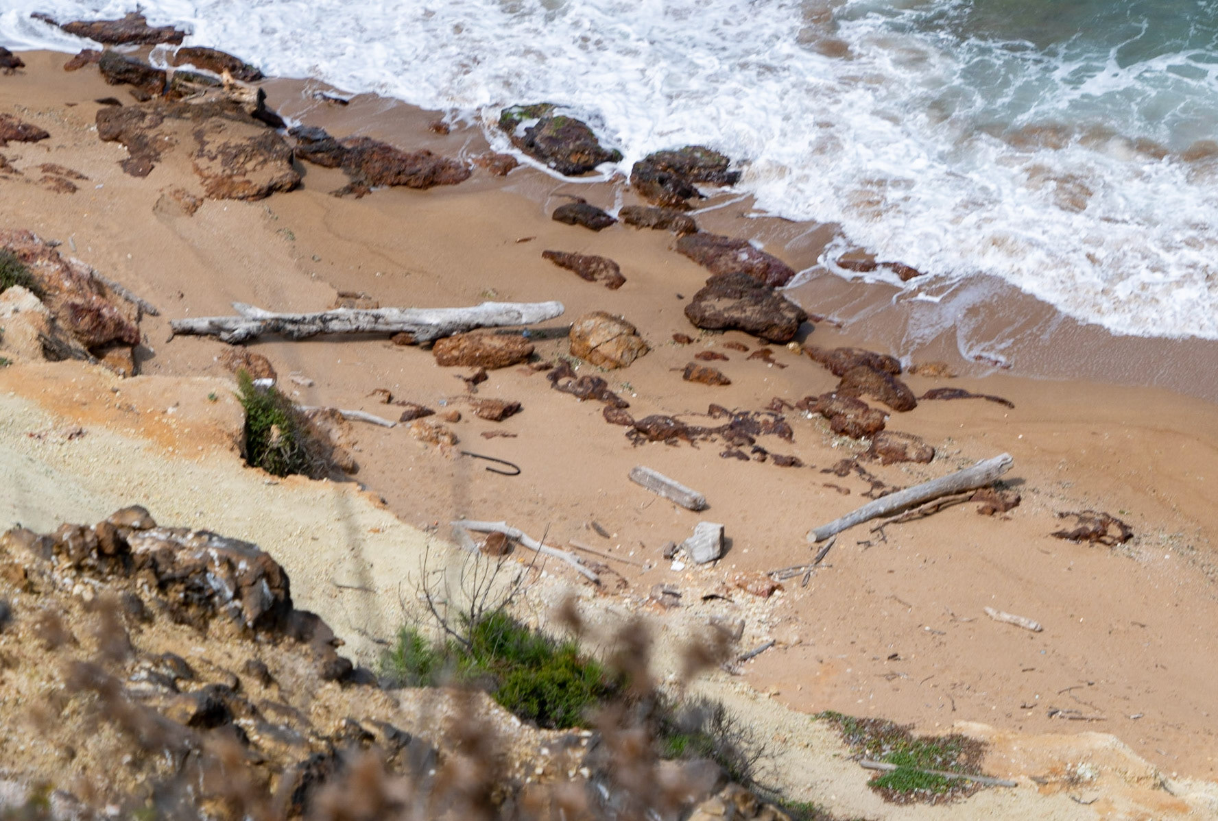 the headland east of Kurna abandoned quarry: a pattern of driftwood and stones on sand