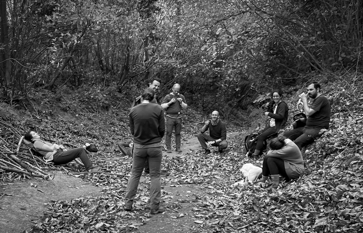 Tokatköy forest: a break