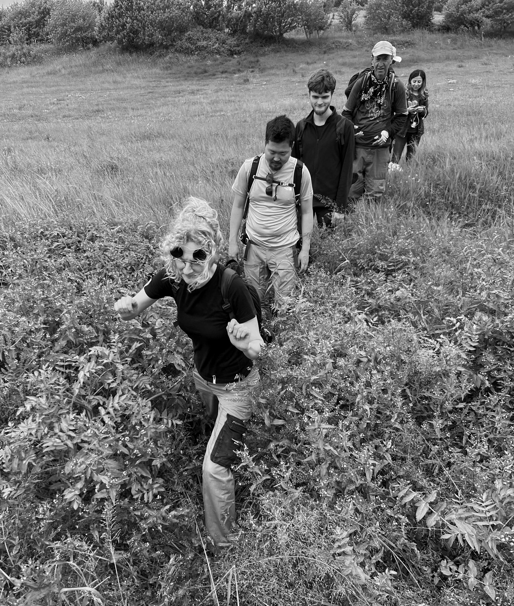 between Sazlıbosna and Sazlıdere reservoir: making our way through vegetation