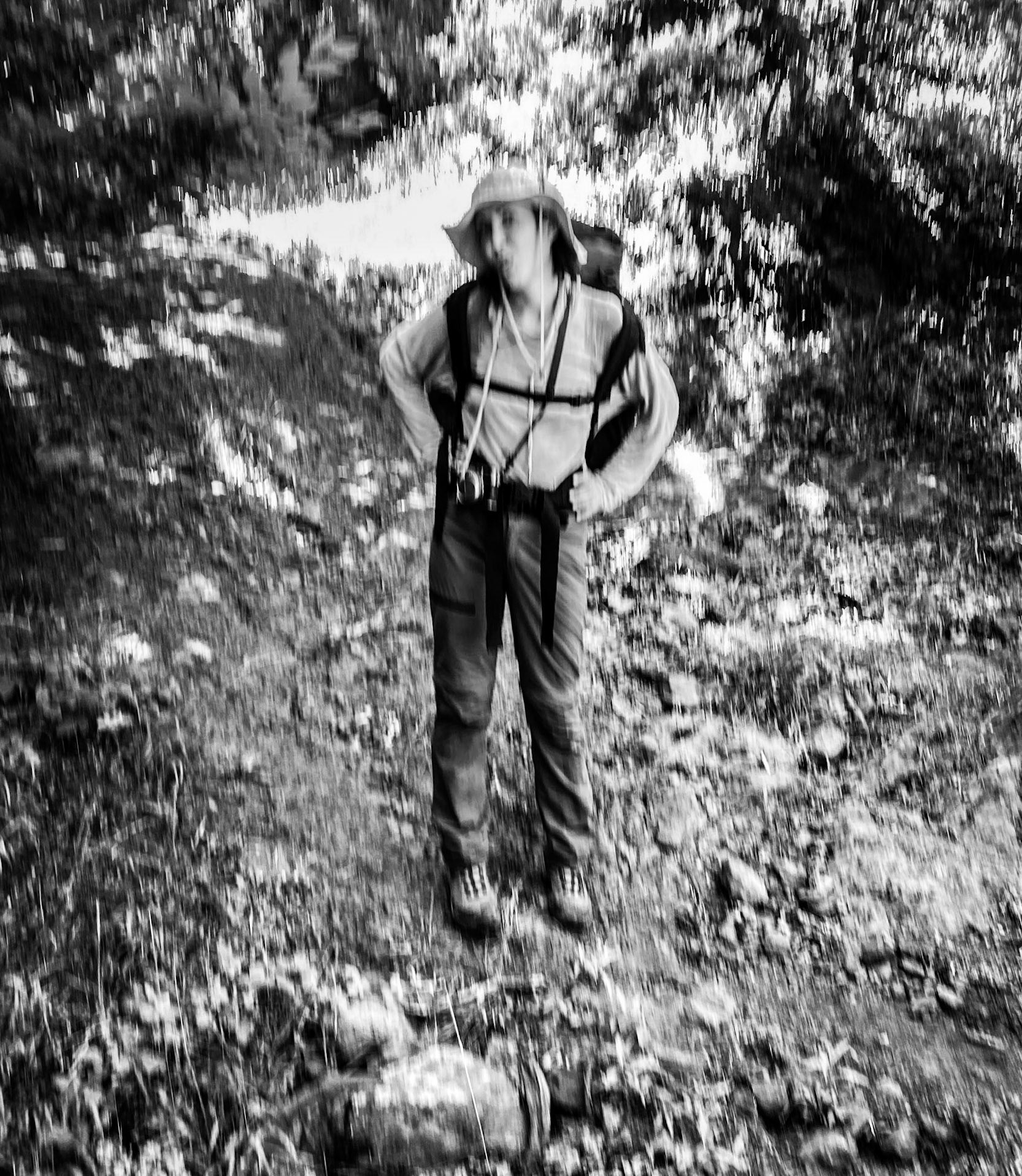 Ezili forest: cheeky Tasha