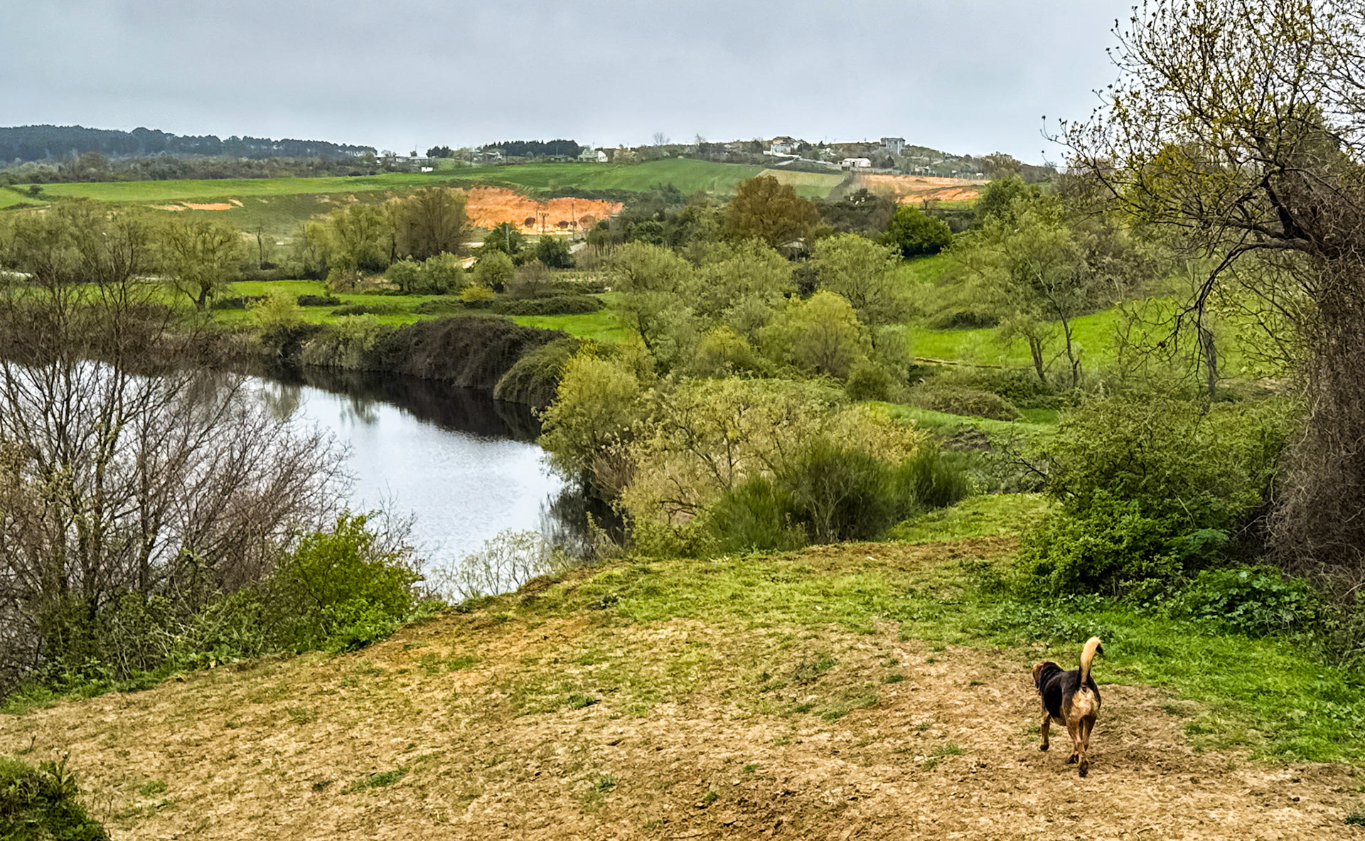 southern Yeniköy: our daydog and view west