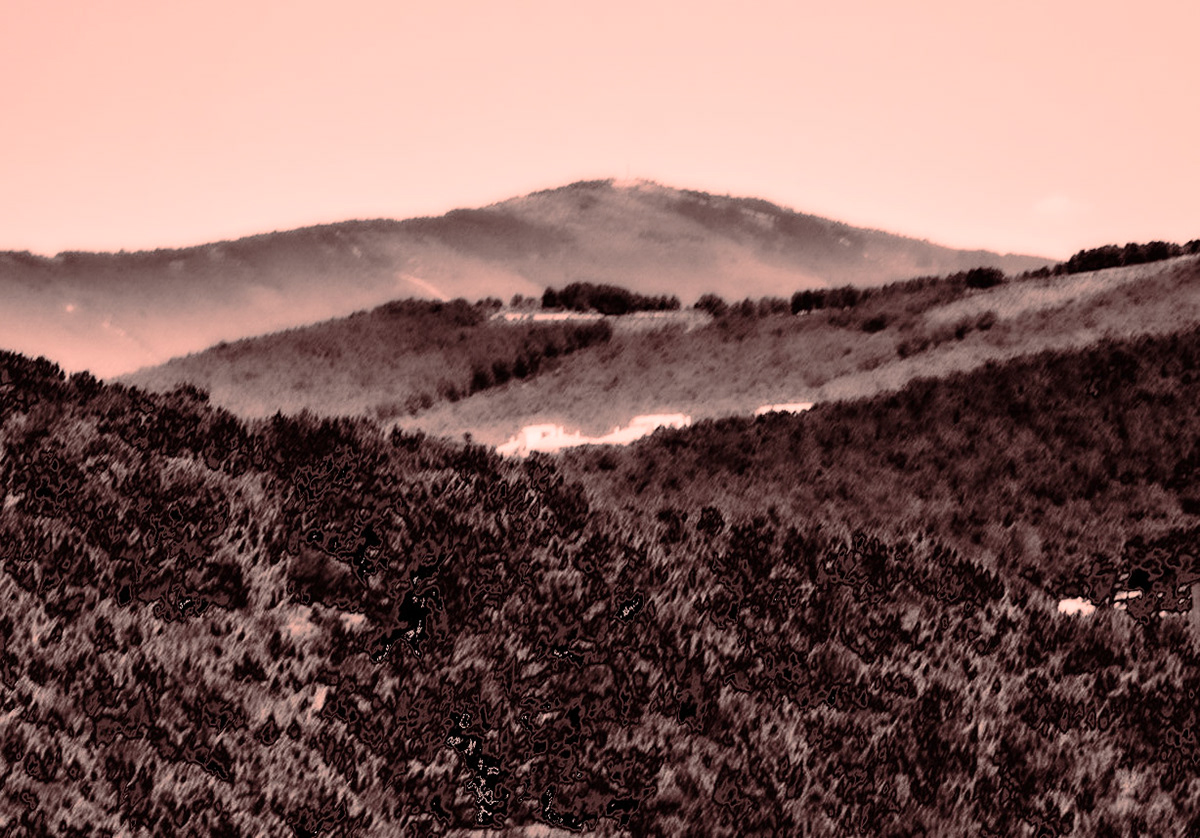 Tekkebayırı tepesi: view east (?)