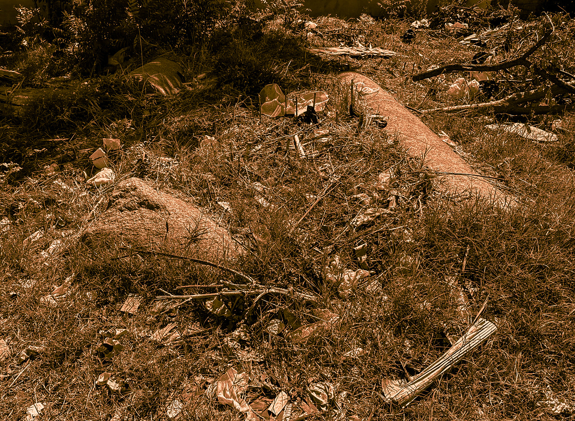 Rhegion: partly-buried Roman columns