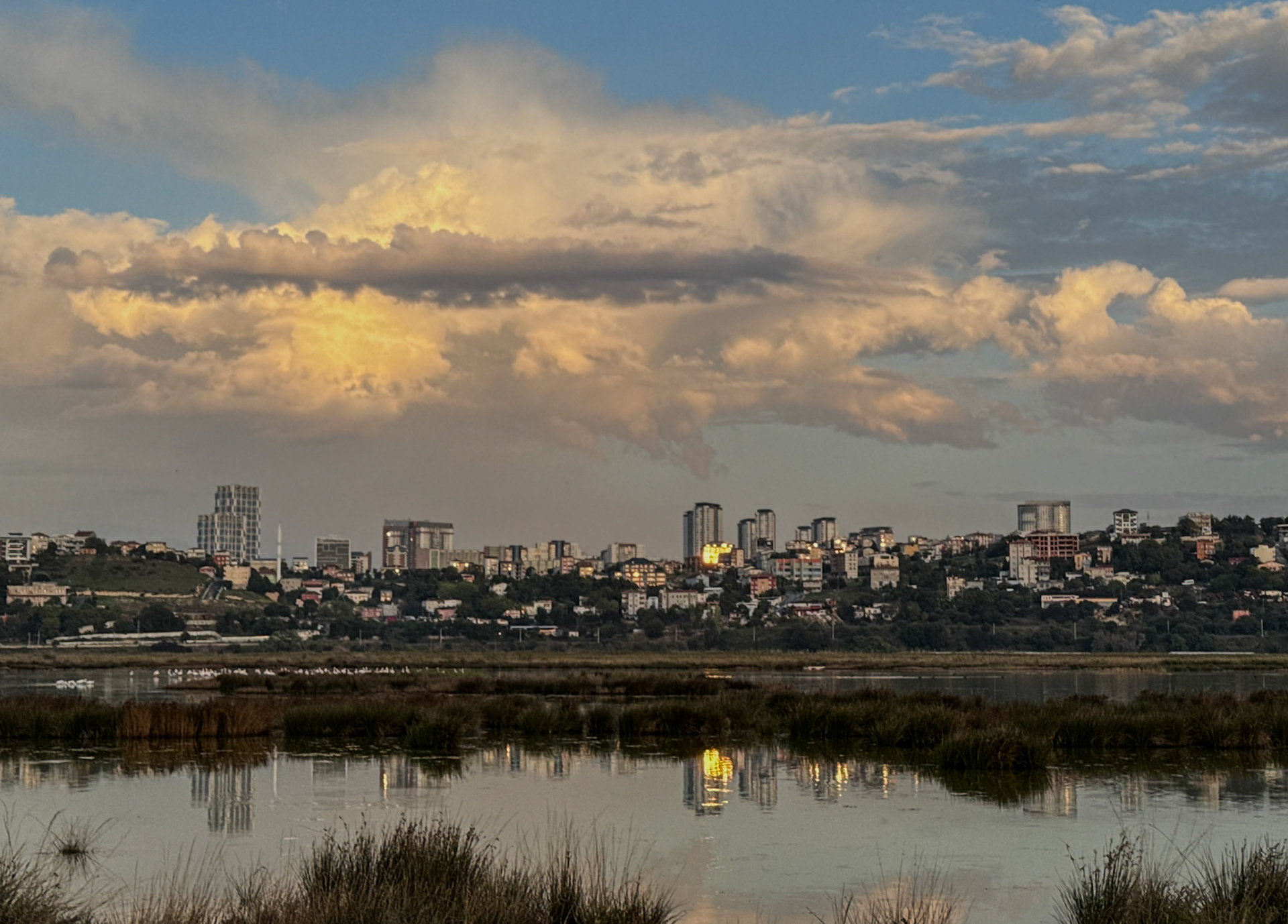 Küçükçekmece northwestern marsh: view east