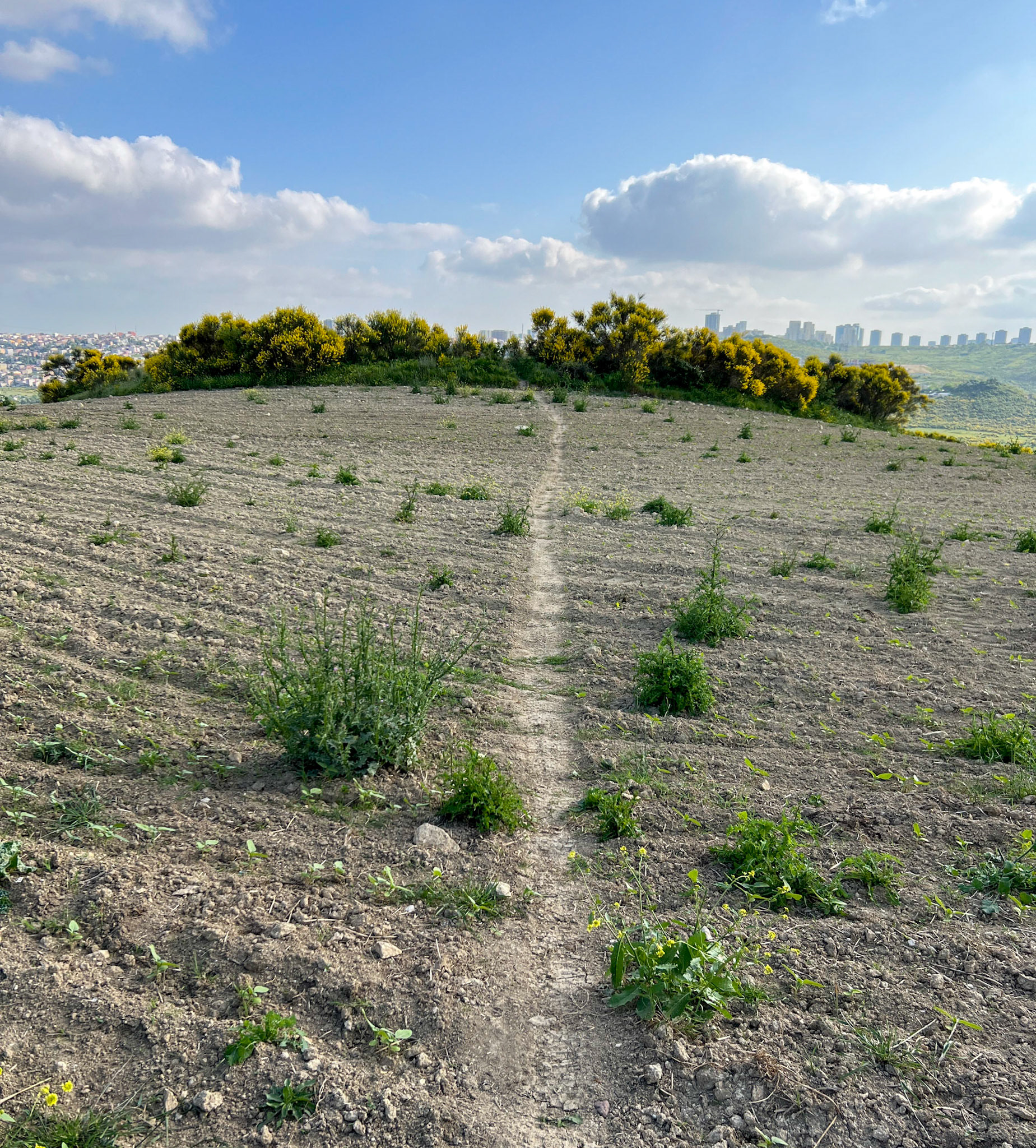 Kayabaşı heath: path