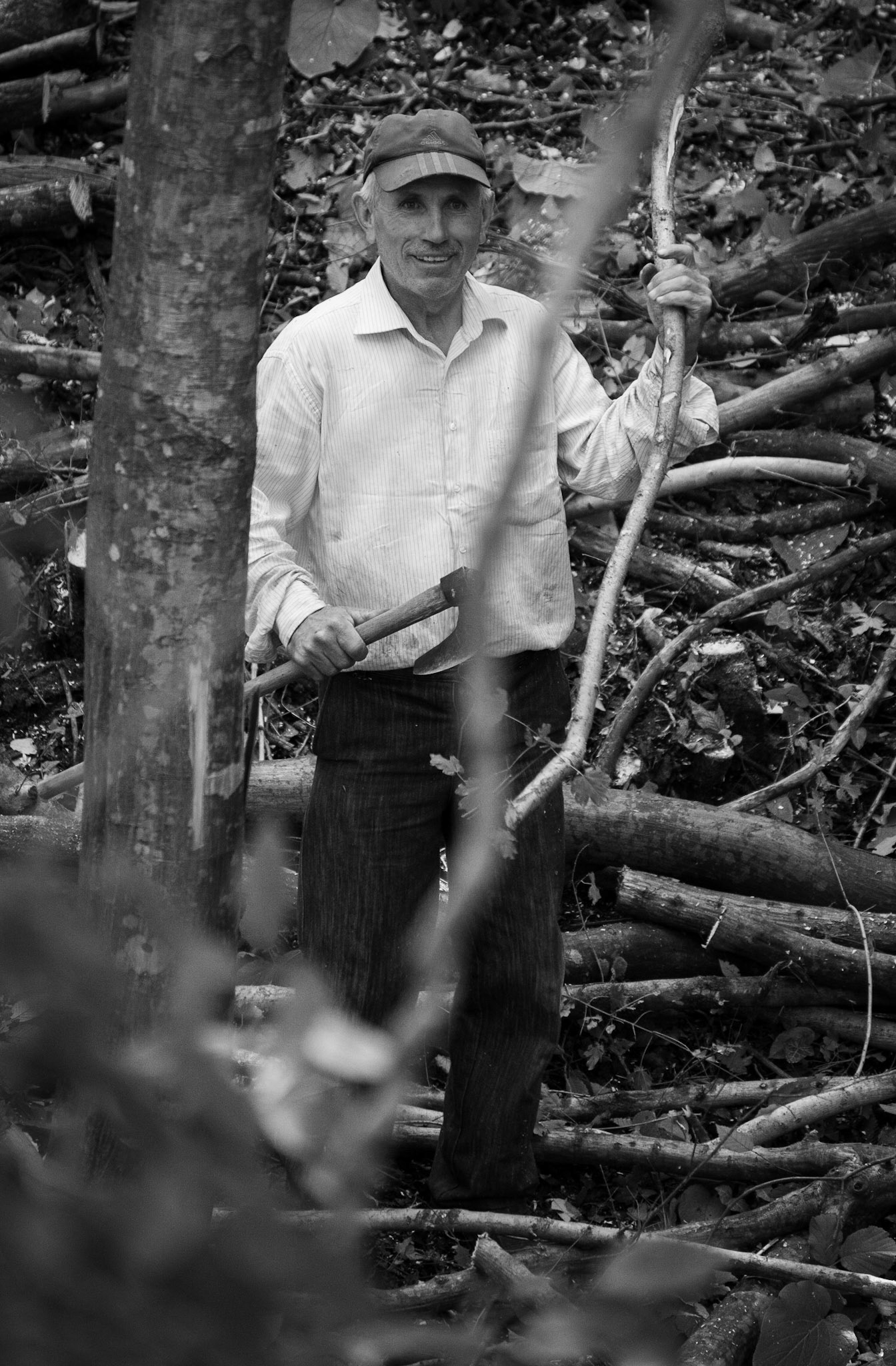 Atdosun forest: wood-cutter