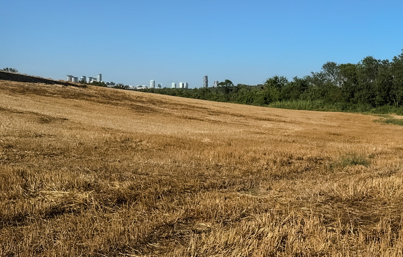 Köseler: harvested field and lakeside woodland