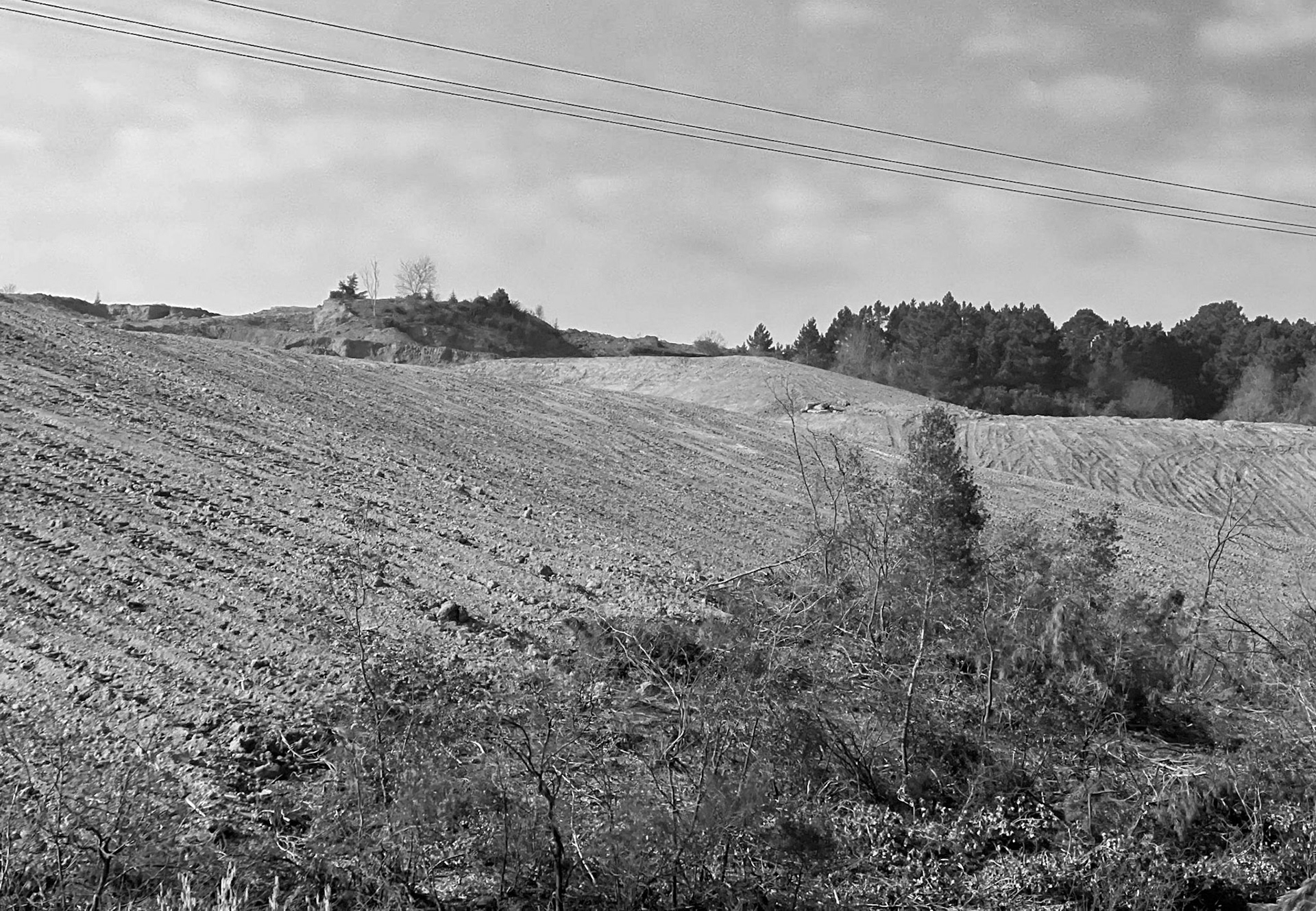 KYK wood: just cleared woodland