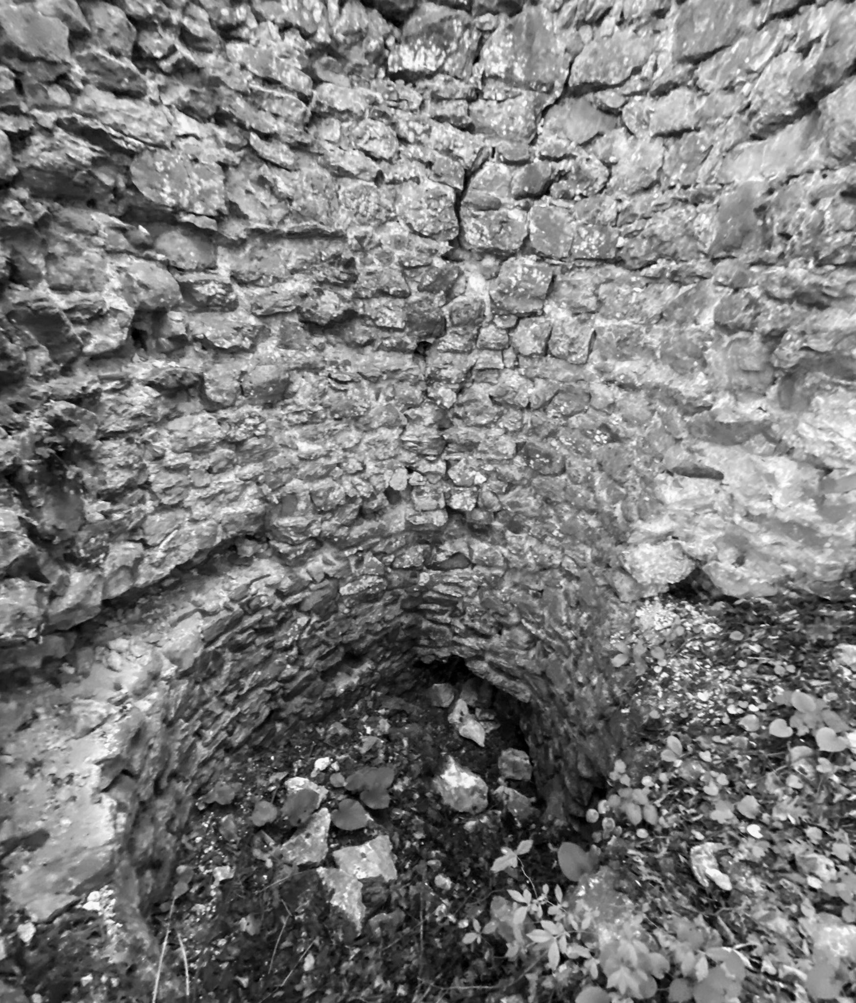 Sarıkavak castle: tower