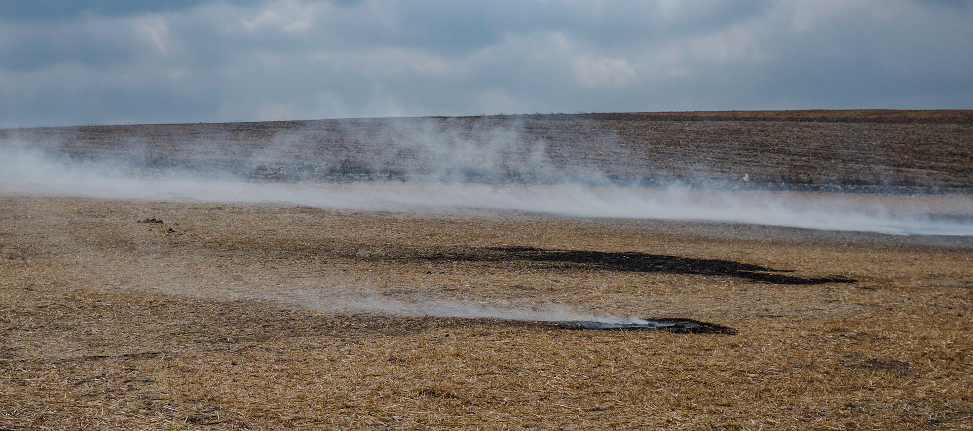 Istanbul University's veterinary farm: stubble-burning in one of its prairie-like fields