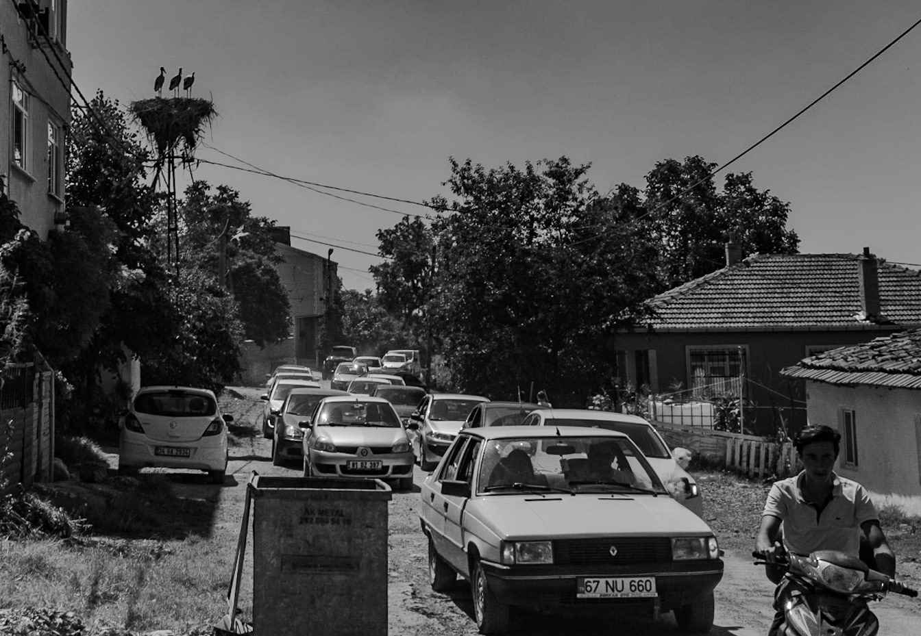 Sazlıbosna: wedding cars watched by three stork sentinels