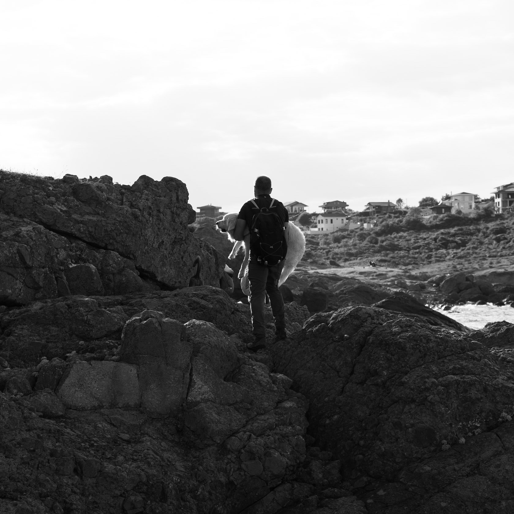 heading west along the line of the Black Sea: Alp gives Lucia a lift