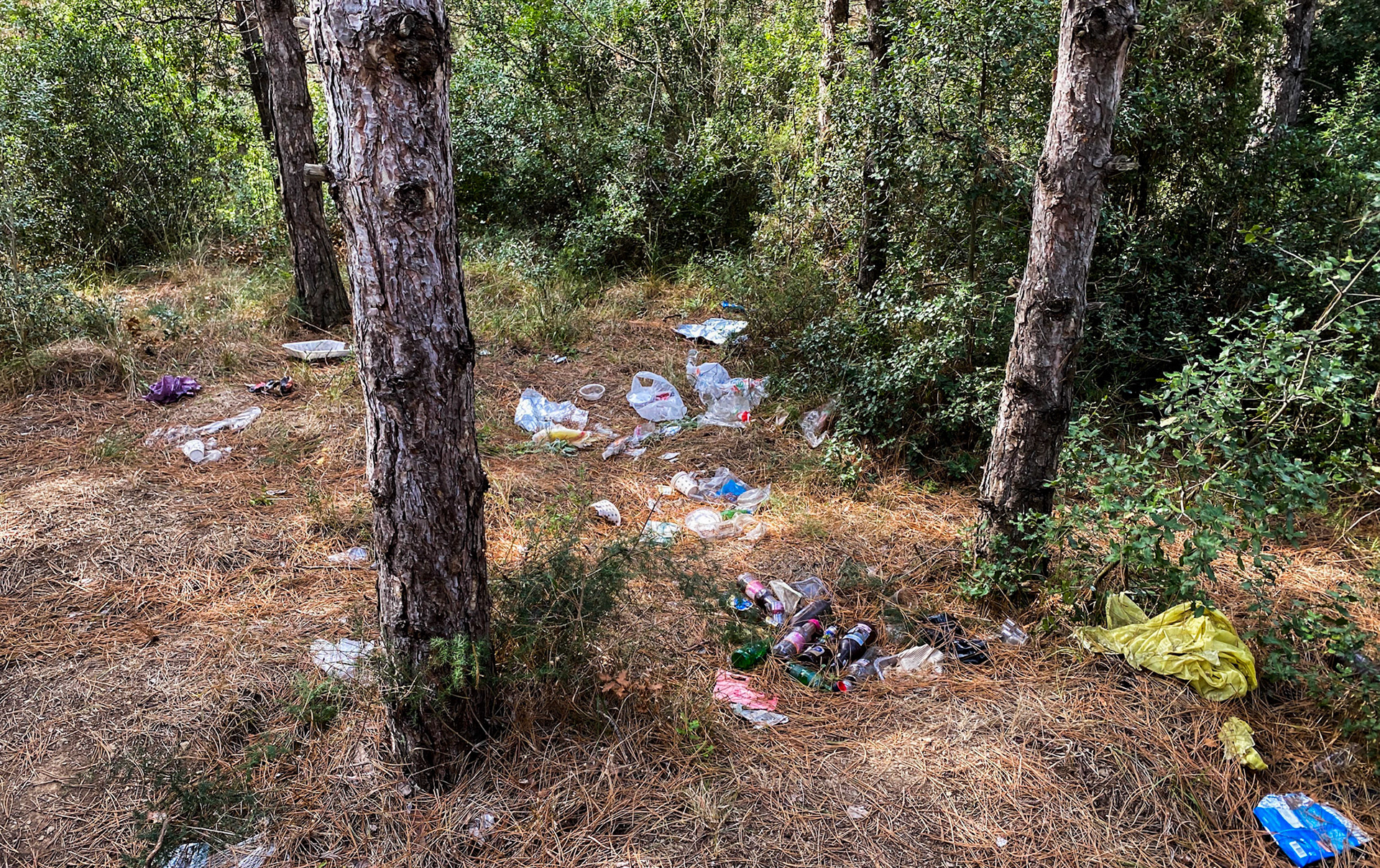 between Gazi and Alibey dam: trash
