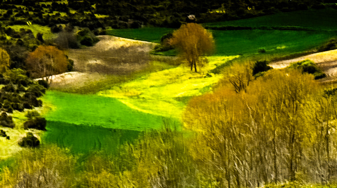 between Terkos and Boyalık: yellow and green pasture