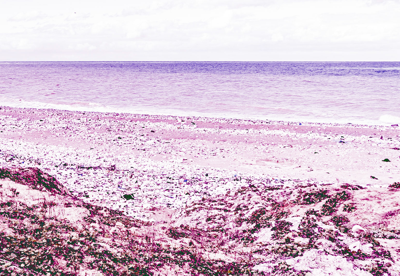 Black Sea coast east of Yeniköy: stony beach