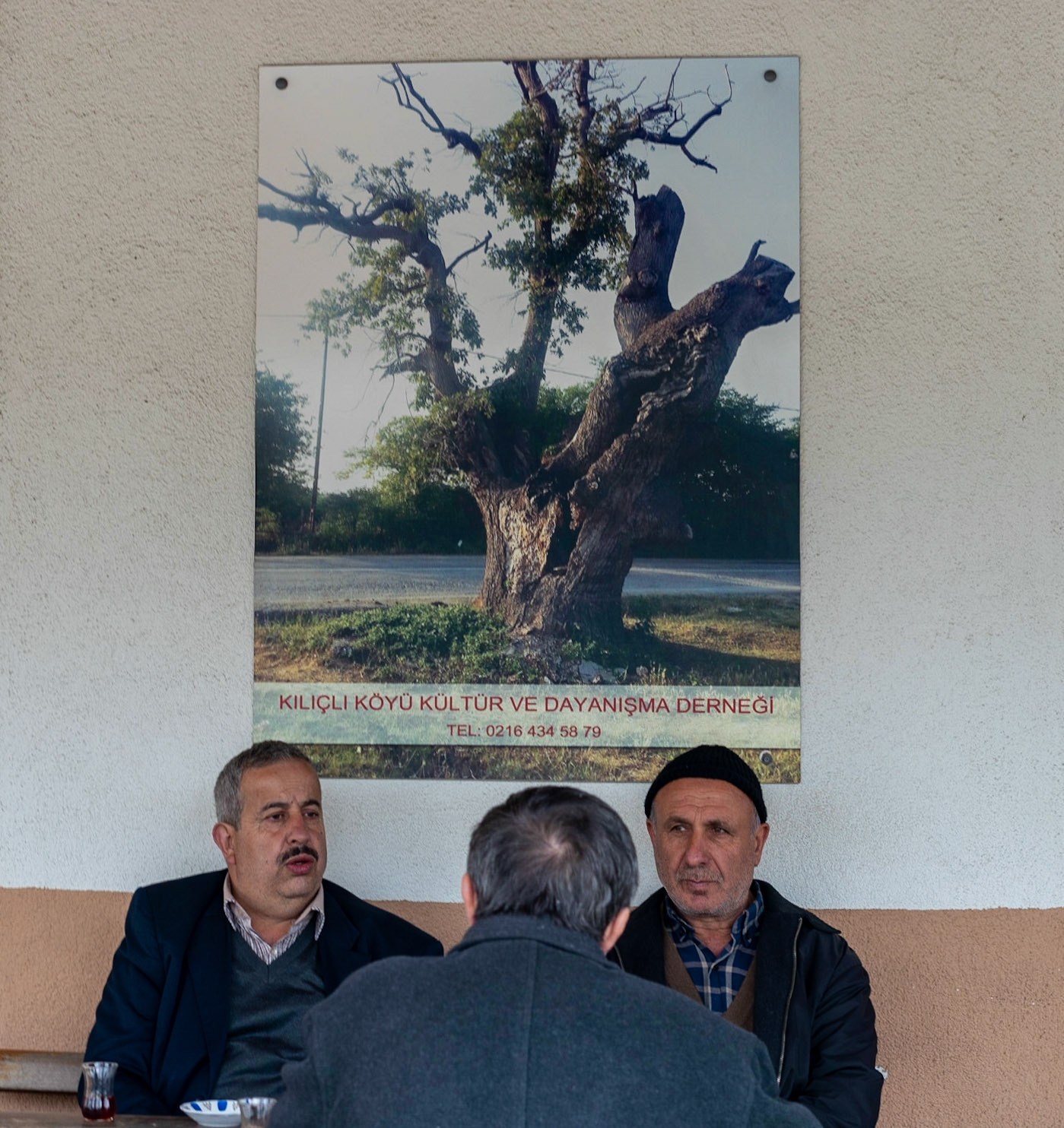 Kılıçlı Köyü: 3 men and a poster featuring an ancient tree (which we must track down next time)