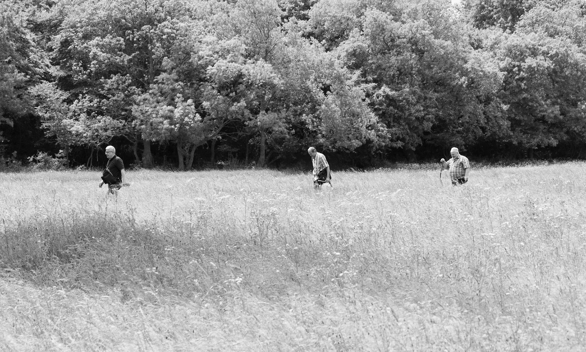 the northeastern Sazlıdere flower meadow: a line of 3 men