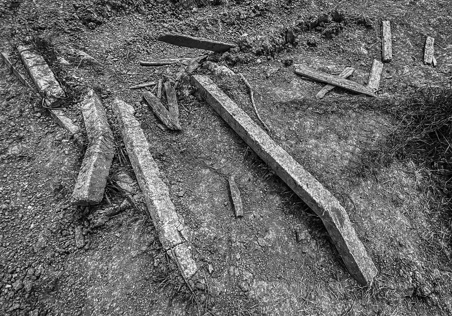 Trikos promontory: fallen fencing