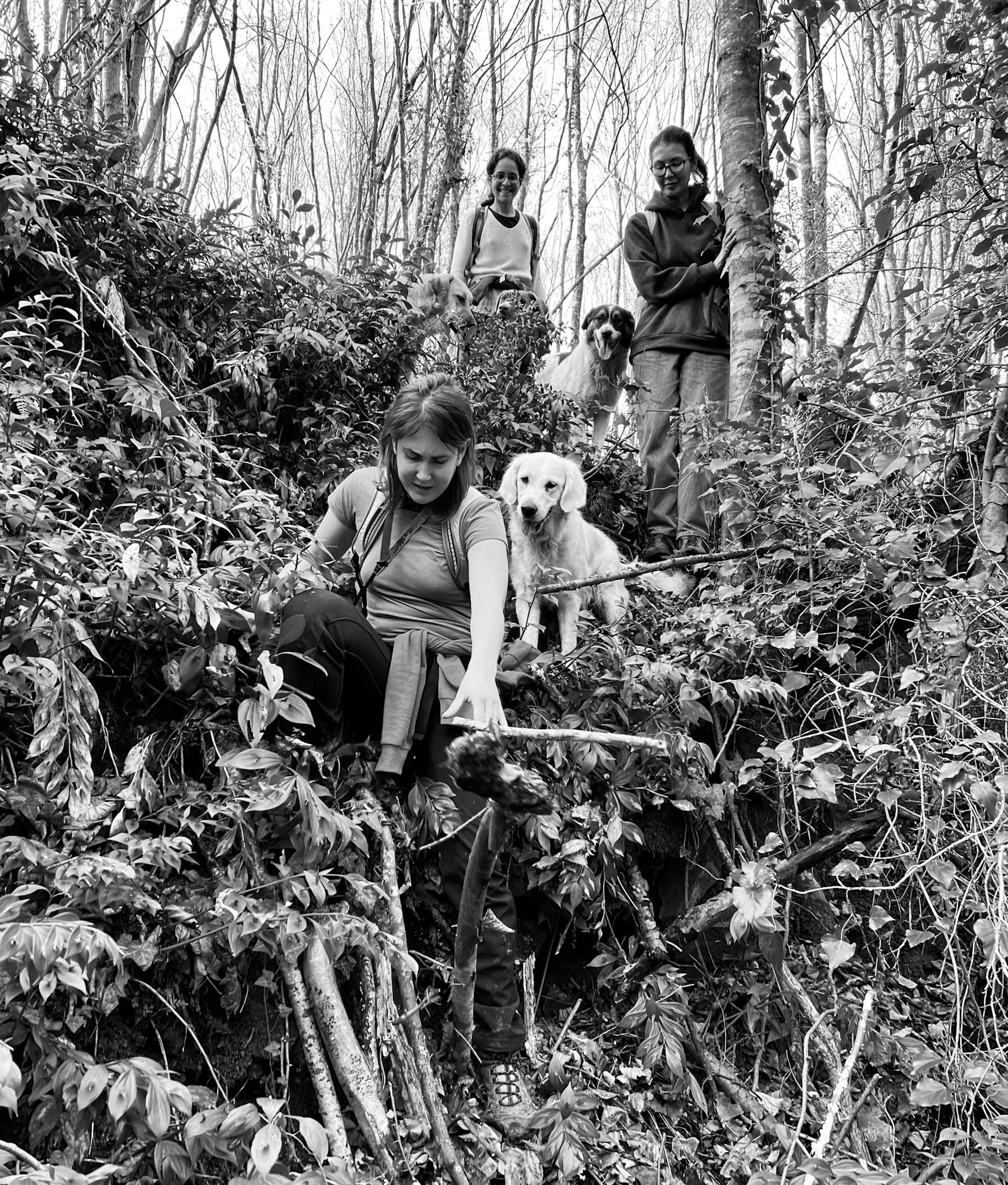 İshaklı forest: coming down into a gully