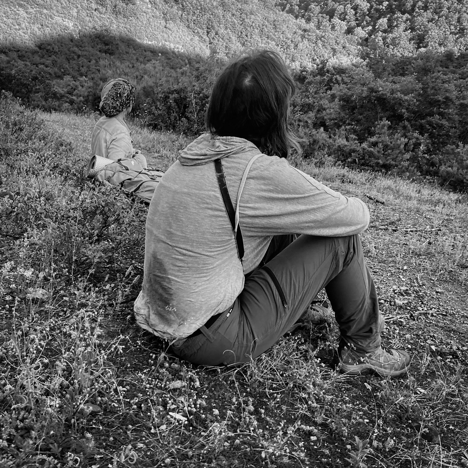 Kargalı northwestern forest: becoming tireder