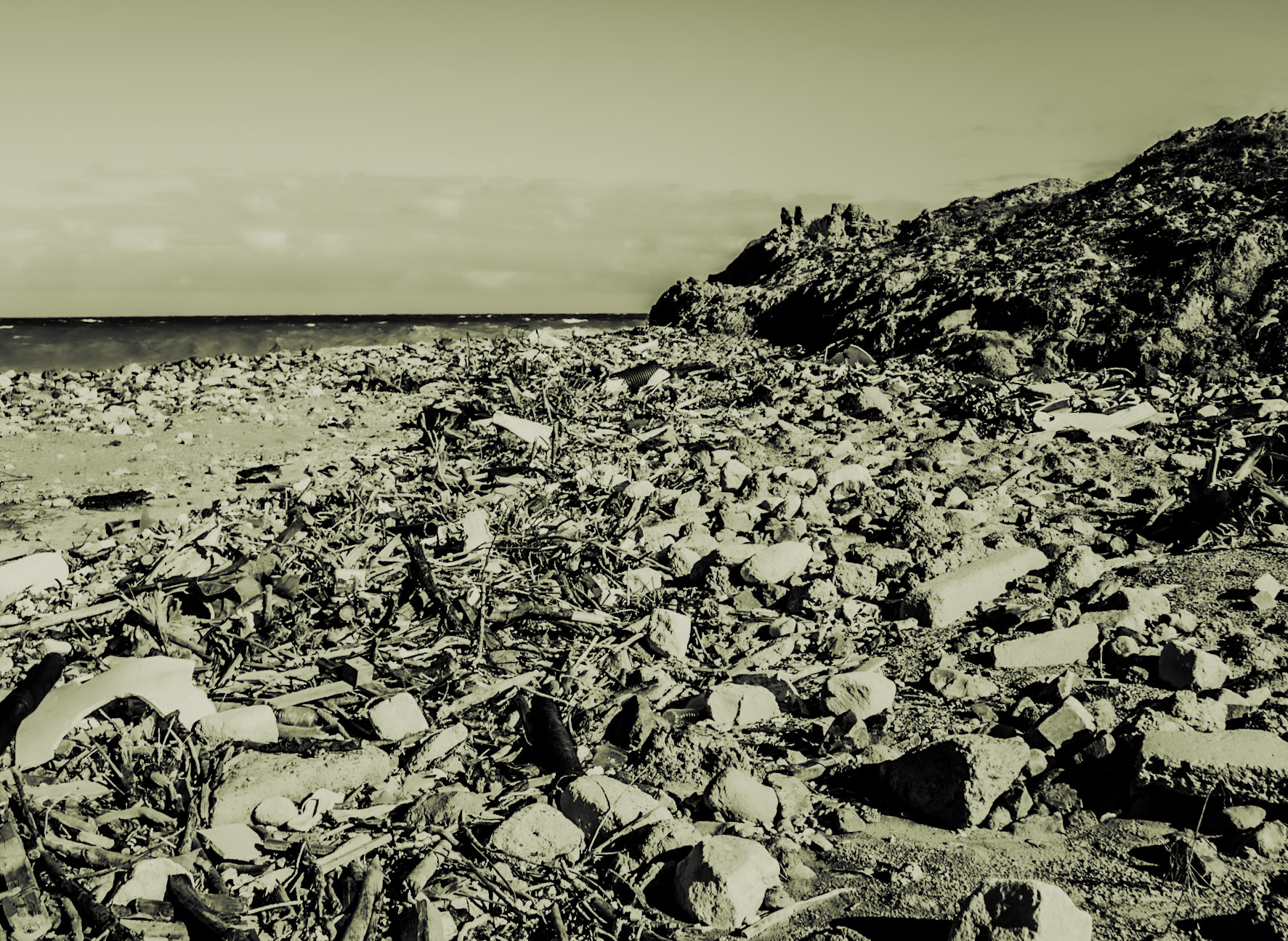 Black Sea coast east of Yeniköy: stones, flotsam and cliff