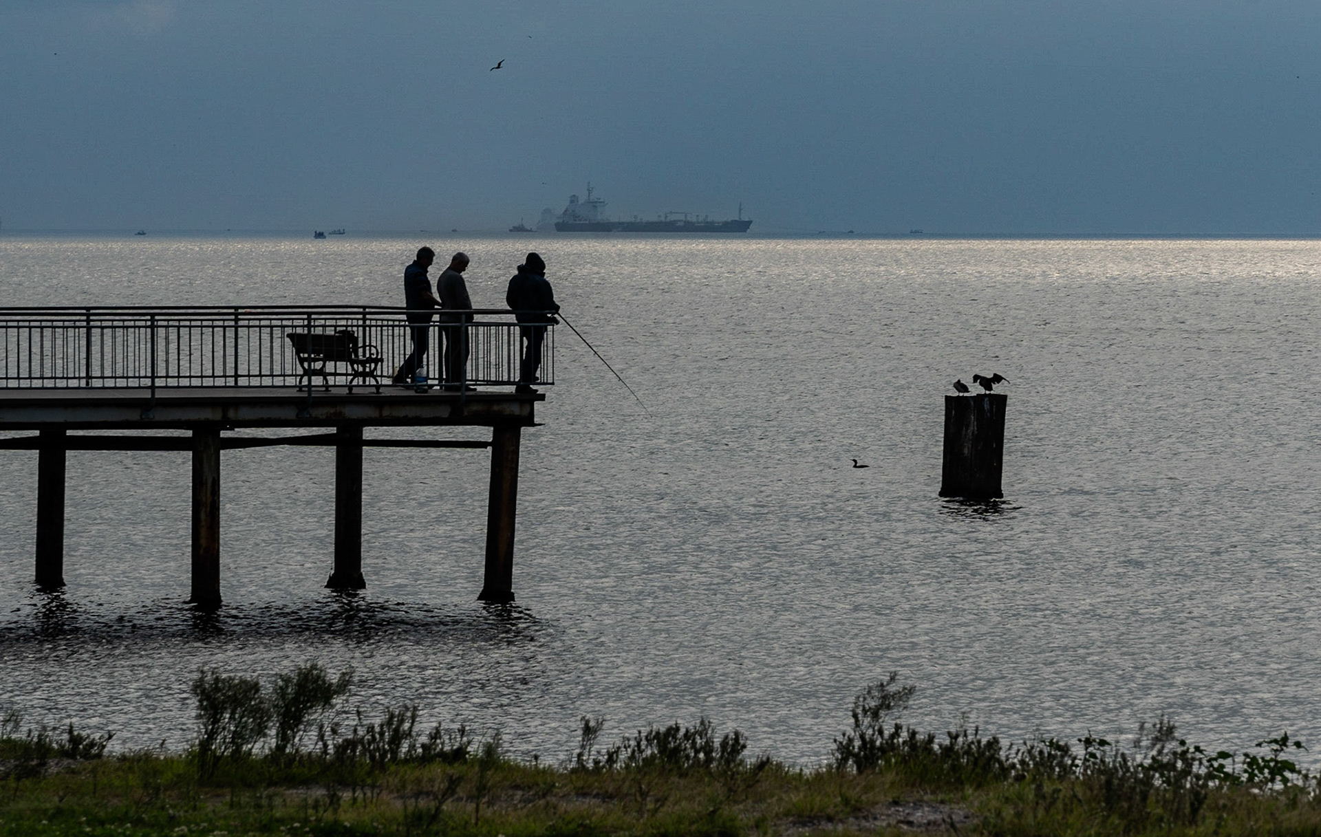 the shore of the Sea of Marmara between Gümüşpala and Menekşe Plajı:  a freighter at anchor while waiting for its turn to pass through the Bosphorus, 3 fishermen on a jetty and a few gulls