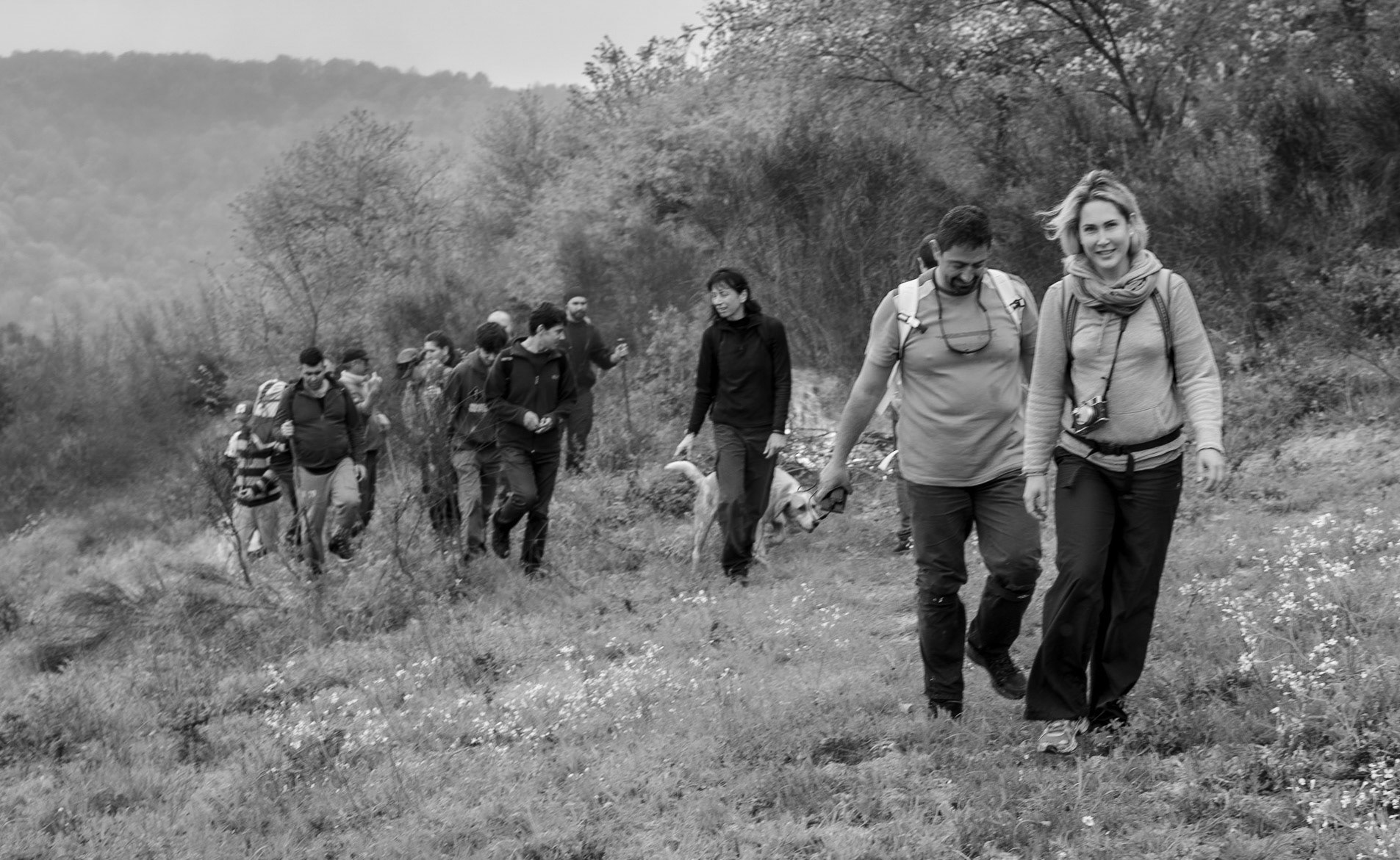 between Bozhane and Kılıçlı Köyü: coming up a slope with a day-dog