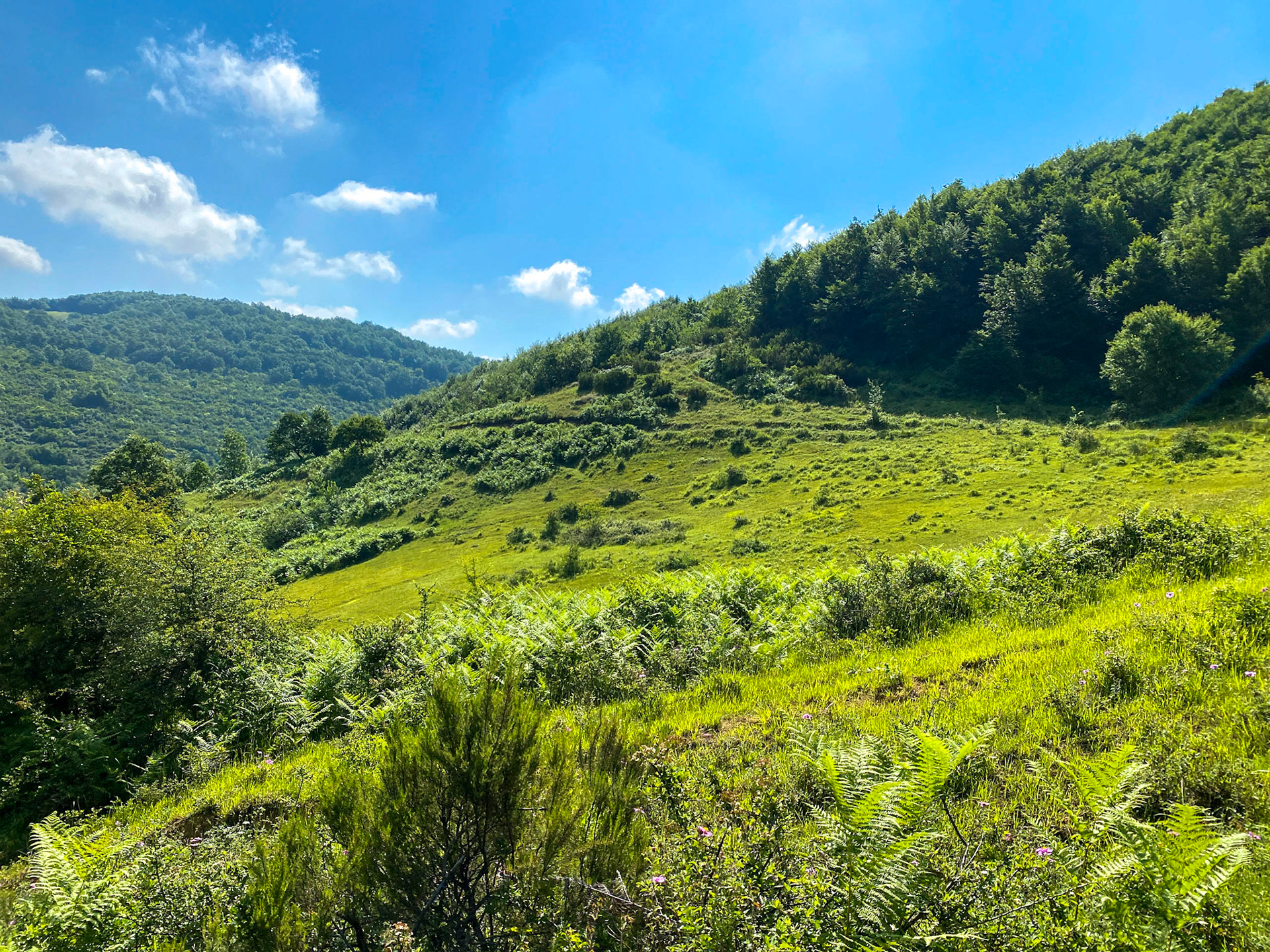 Sarıkavak hill: landscape