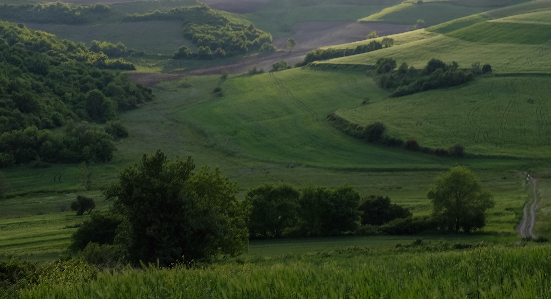 between Baklalı and Germe: rolling farmland
