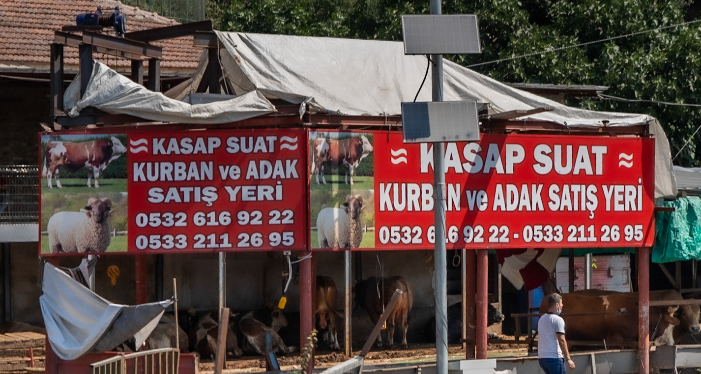 Cebeci: sacrificial animals selling place &amp; slaughterhouse