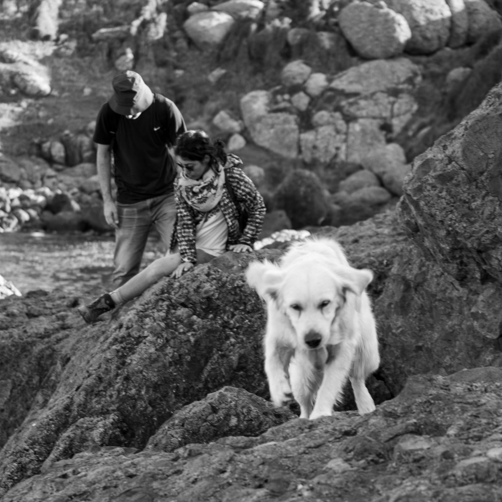 heading west along the line of the Black Sea: leaping Lucia