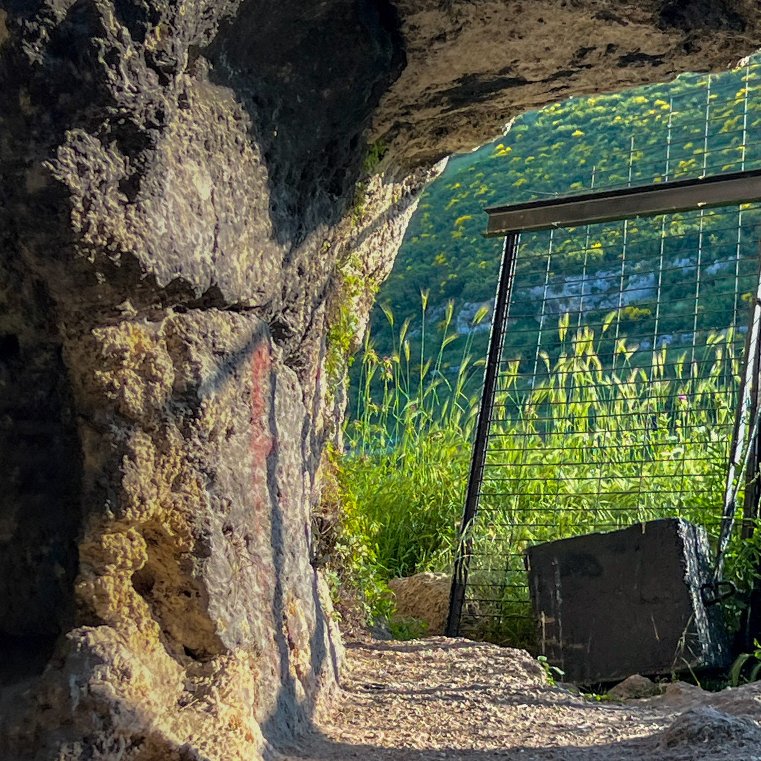 Yarımburgaz prehistoric cave: the gap in the new fence