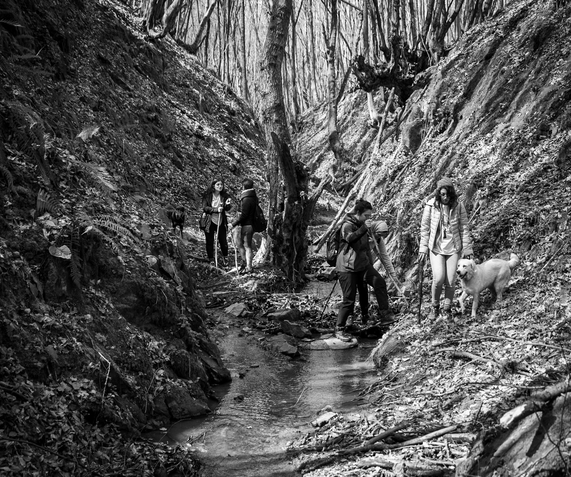 Zerzevat stream valley: picking our way along the stream